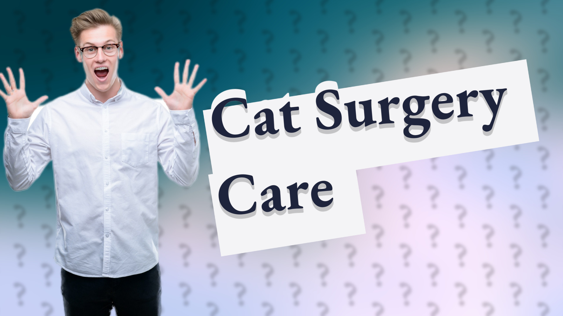 Cat Surgery Care