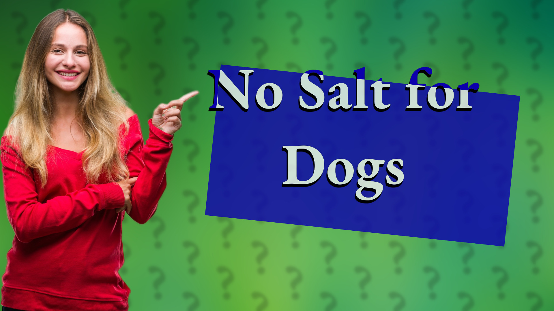 No Salt for Dogs