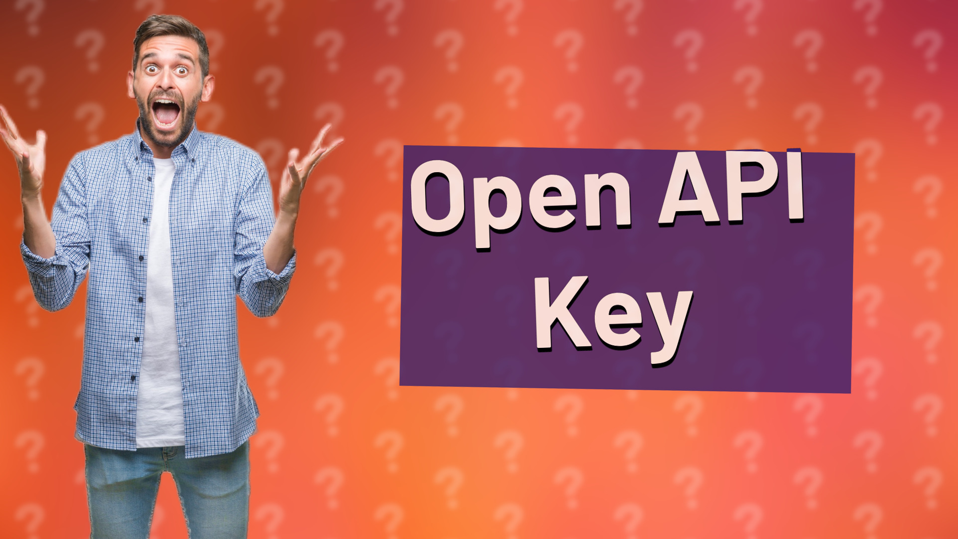 Open API Key