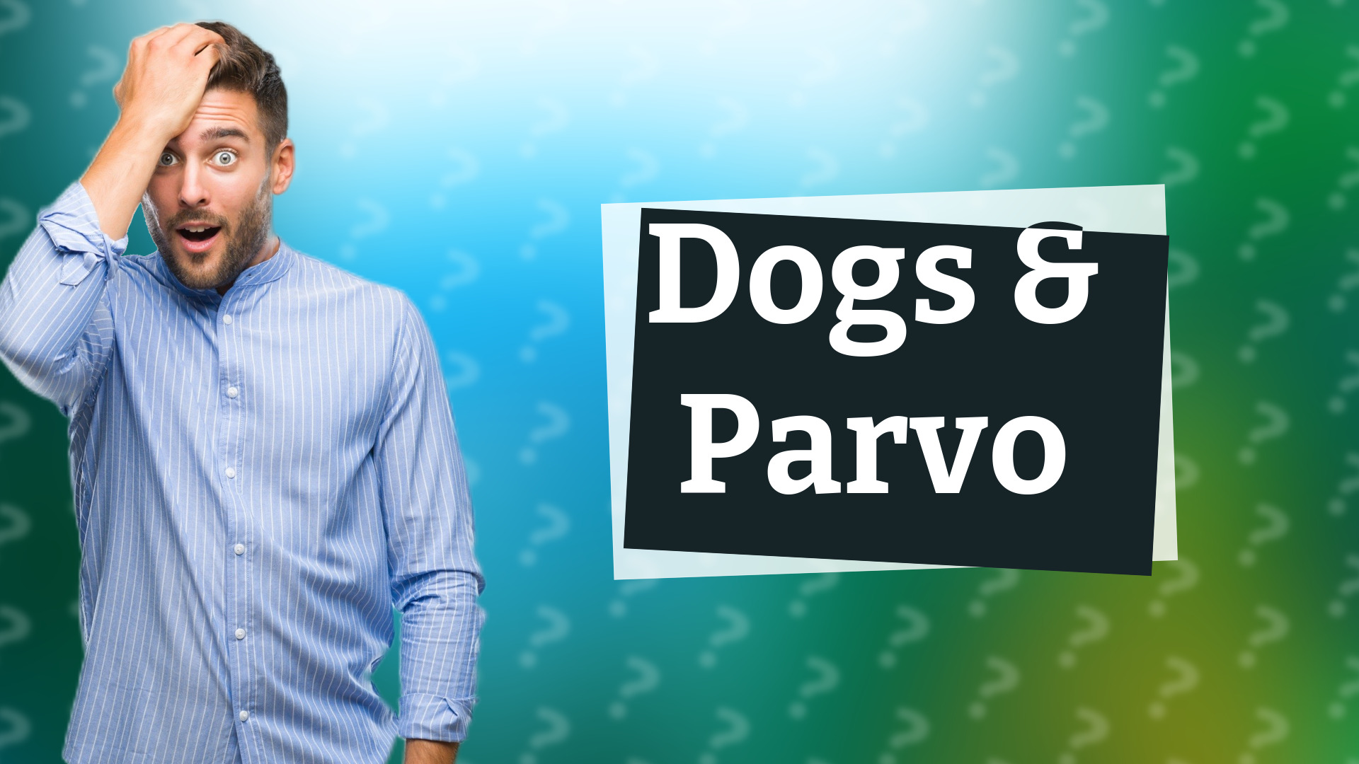 Dogs & Parvo