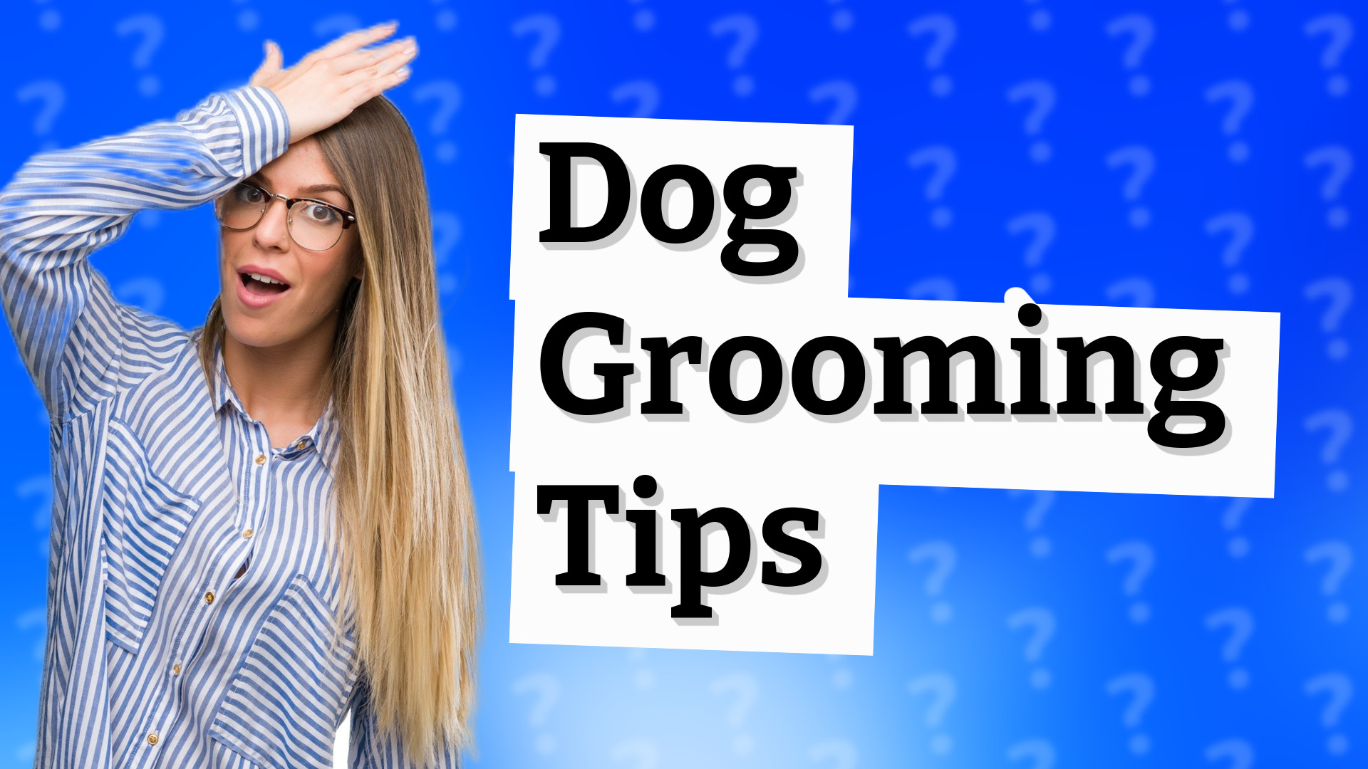 Dog Grooming Tips