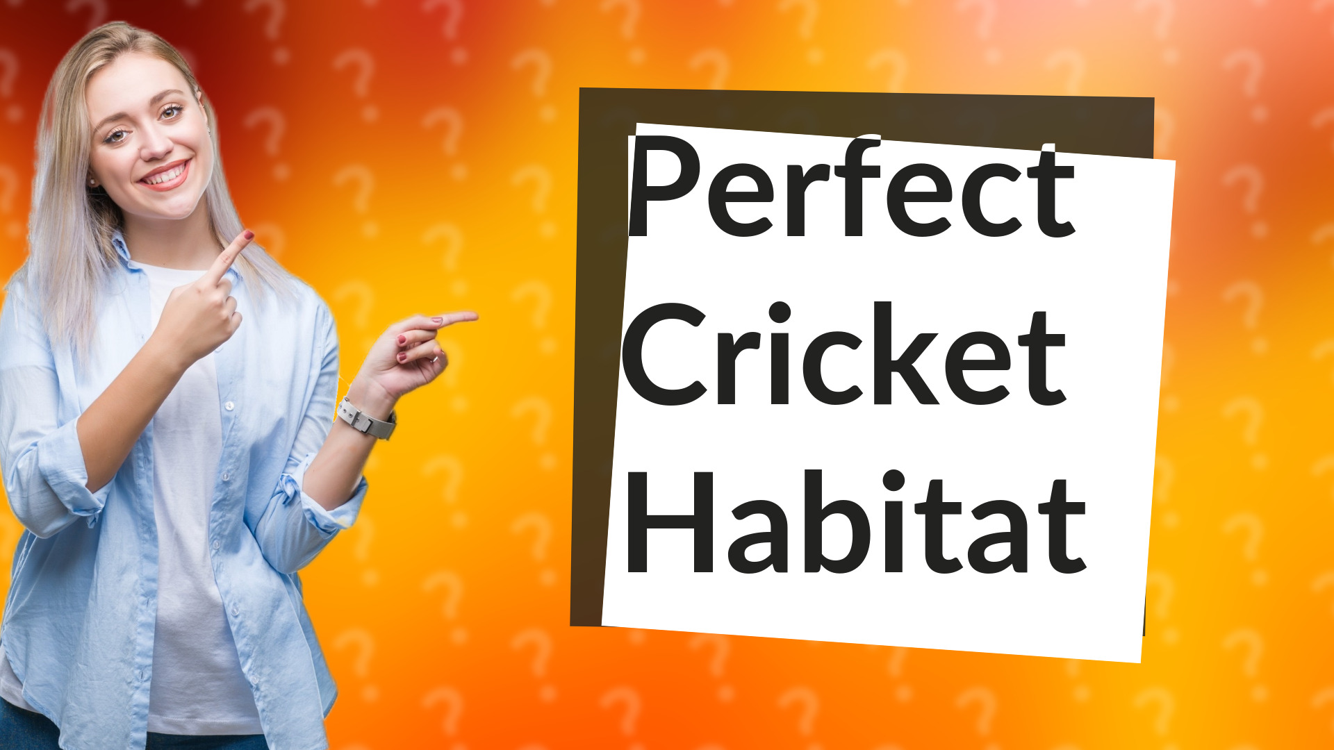 Perfect Cricket Habitat