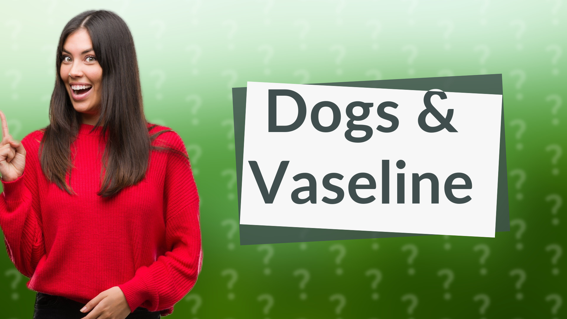 Dogs & Vaseline