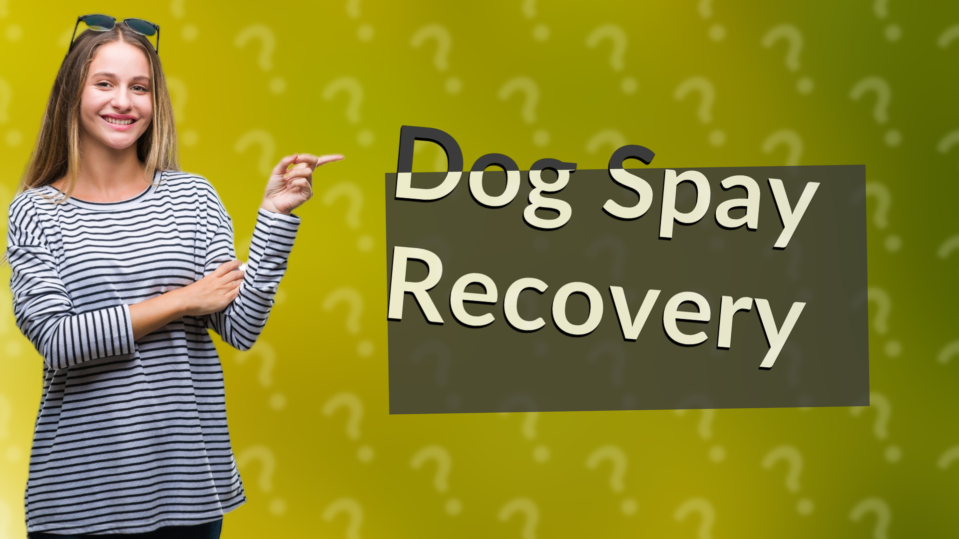 Dog Spay Recovery