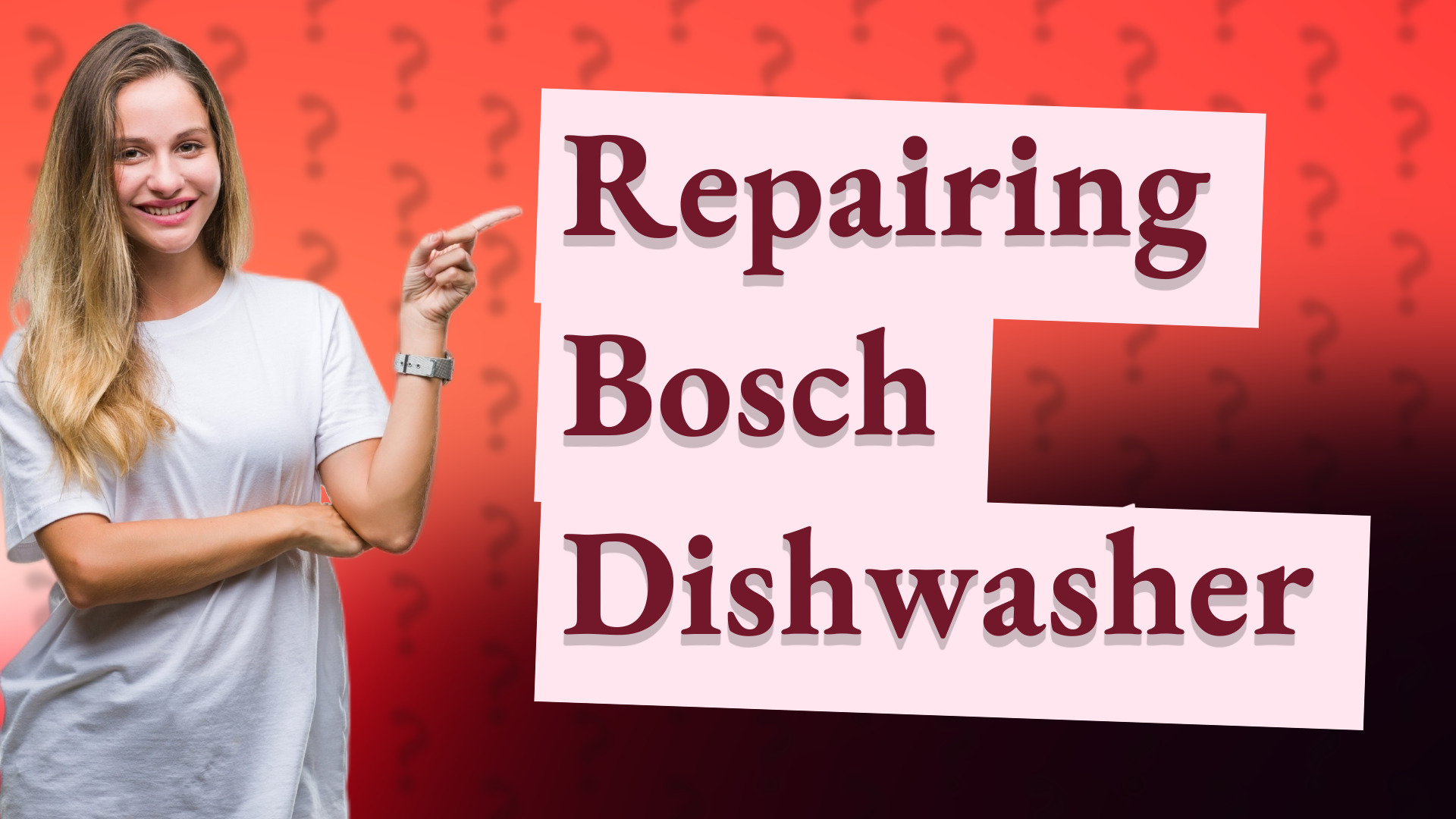 Repairing Bosch Dishwasher
