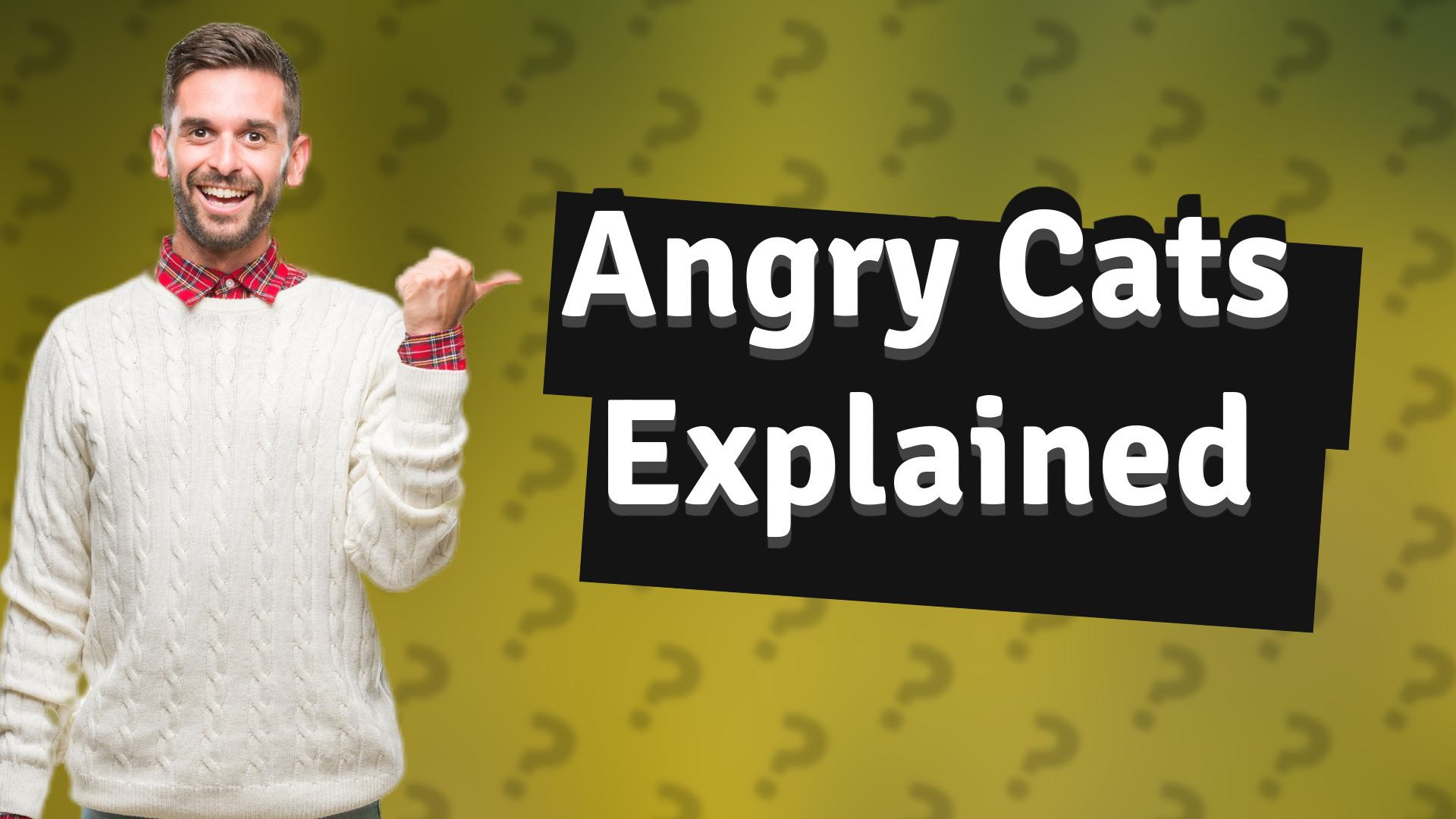 Angry Cats Explained