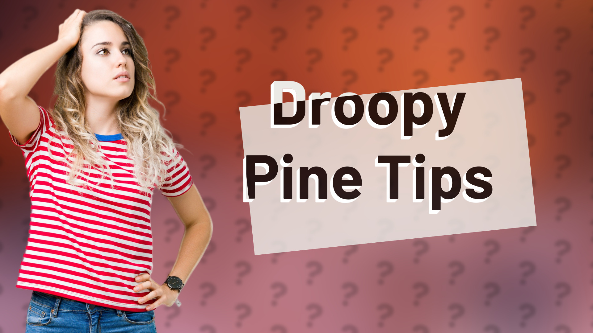 Droopy Pine Tips