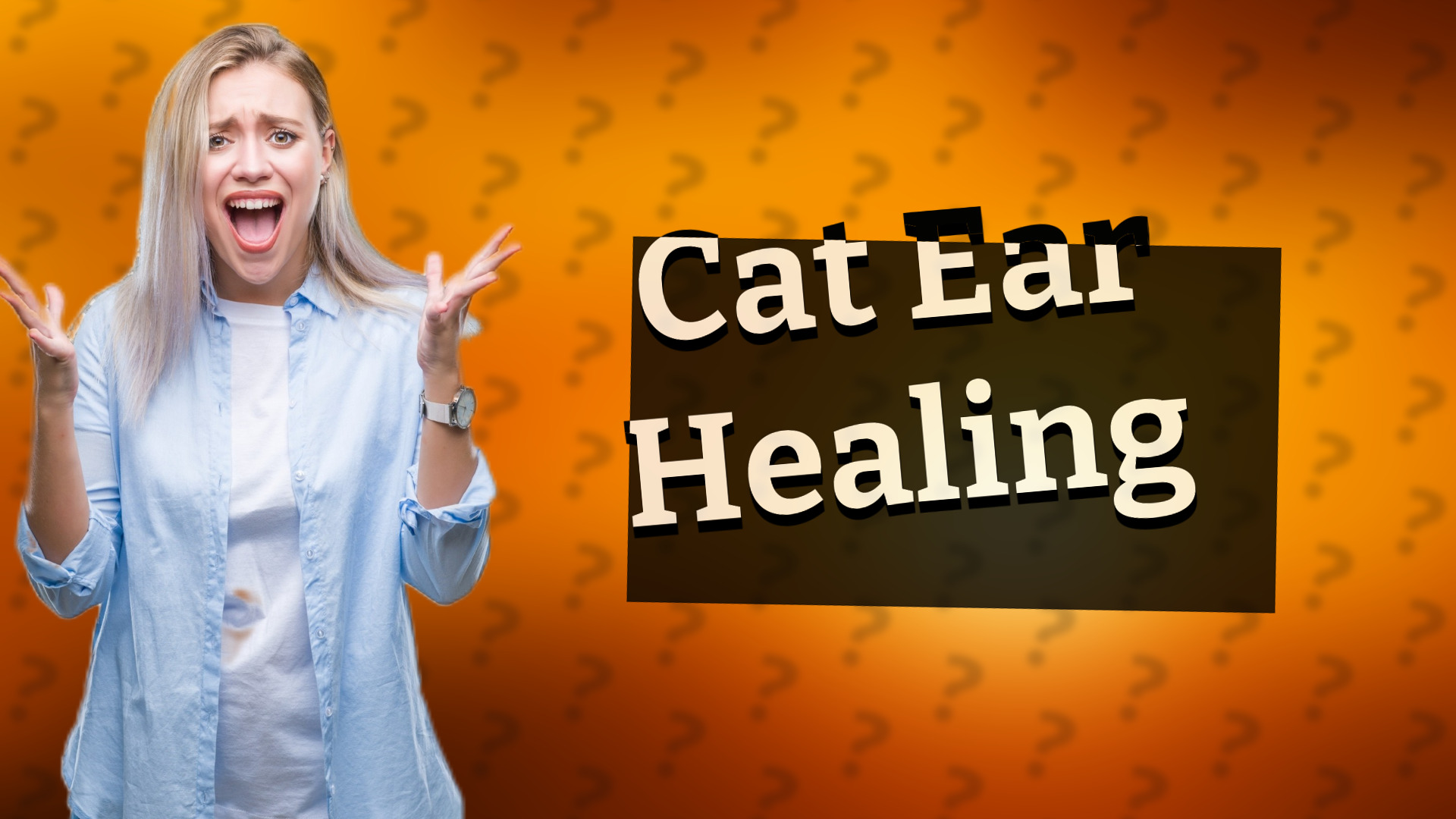 Cat Ear Healing