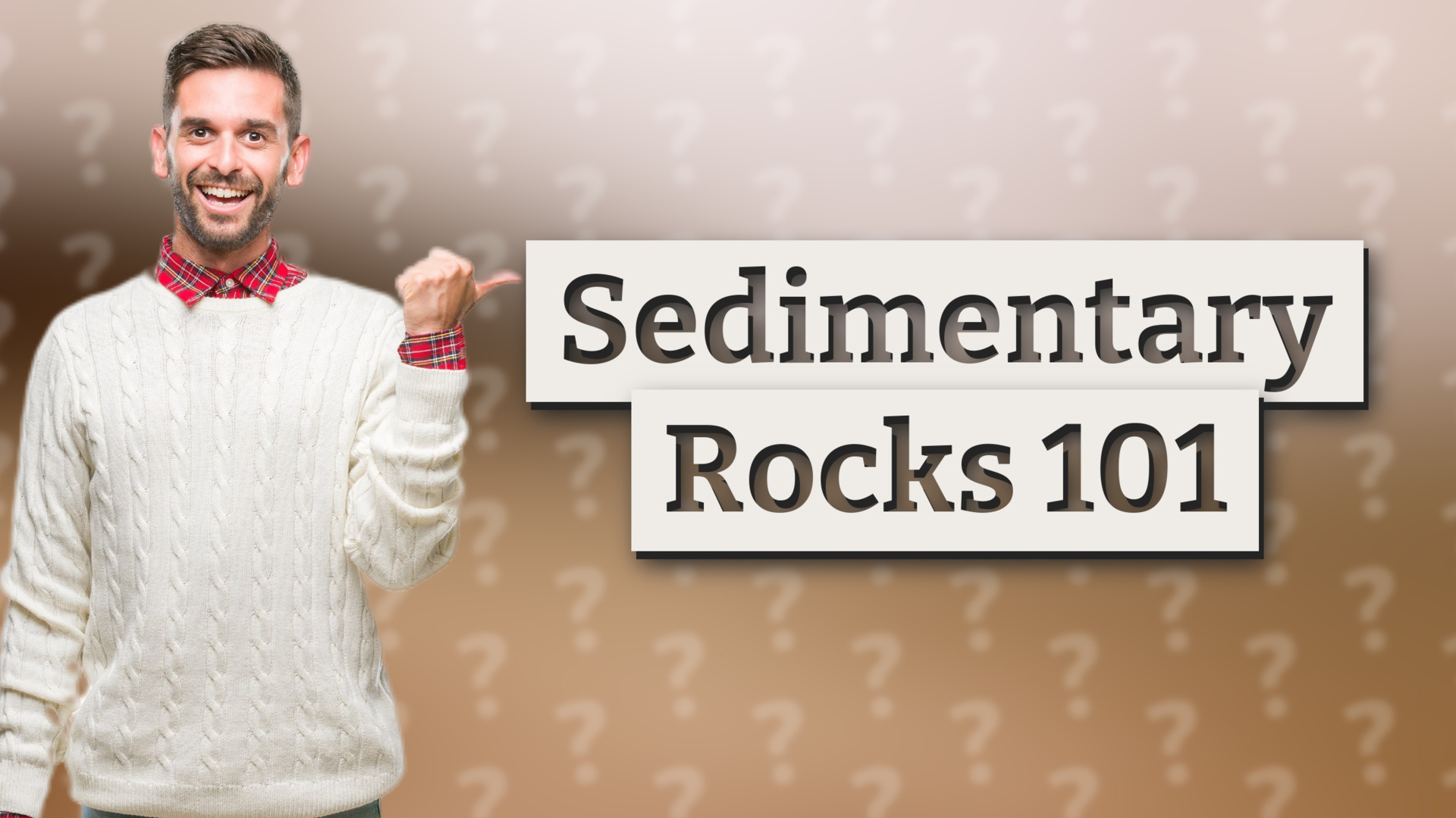 Sedimentary Rocks 101