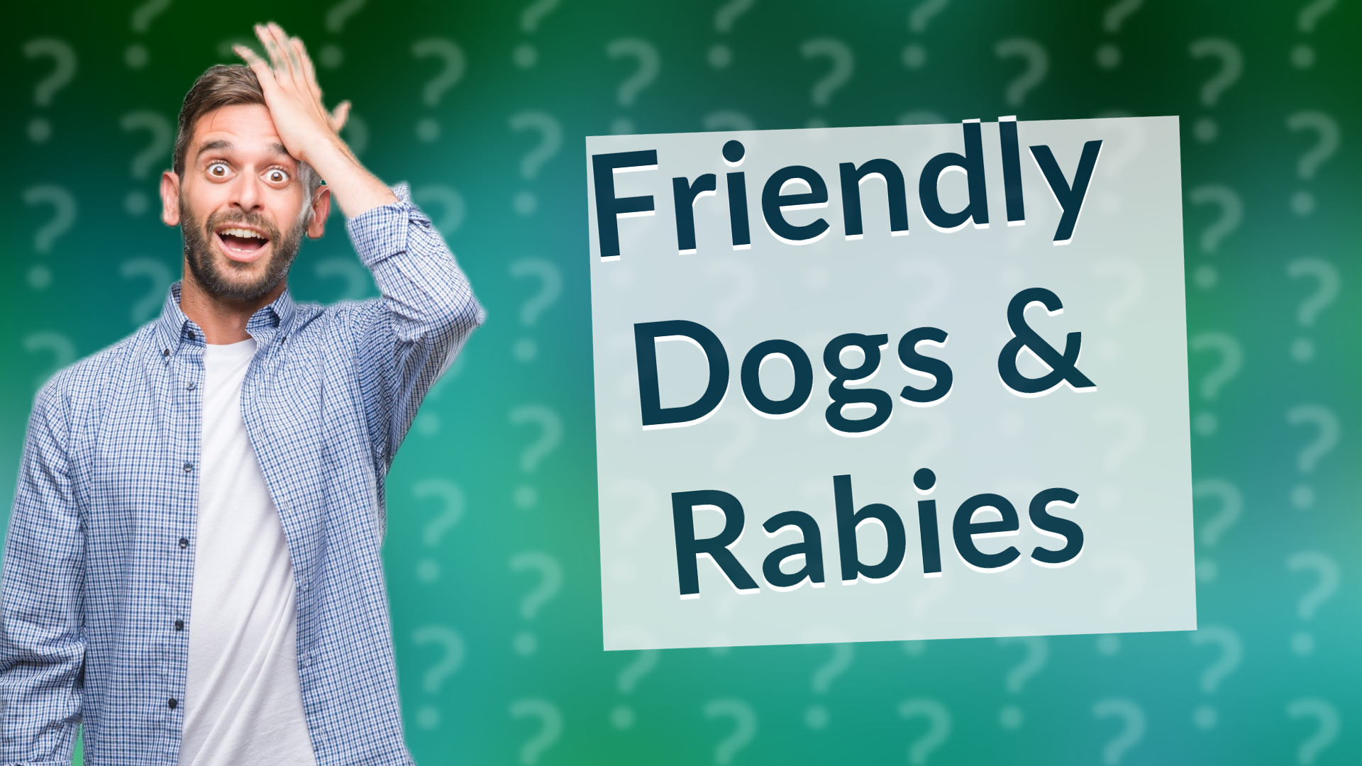 Friendly Dogs & Rabies