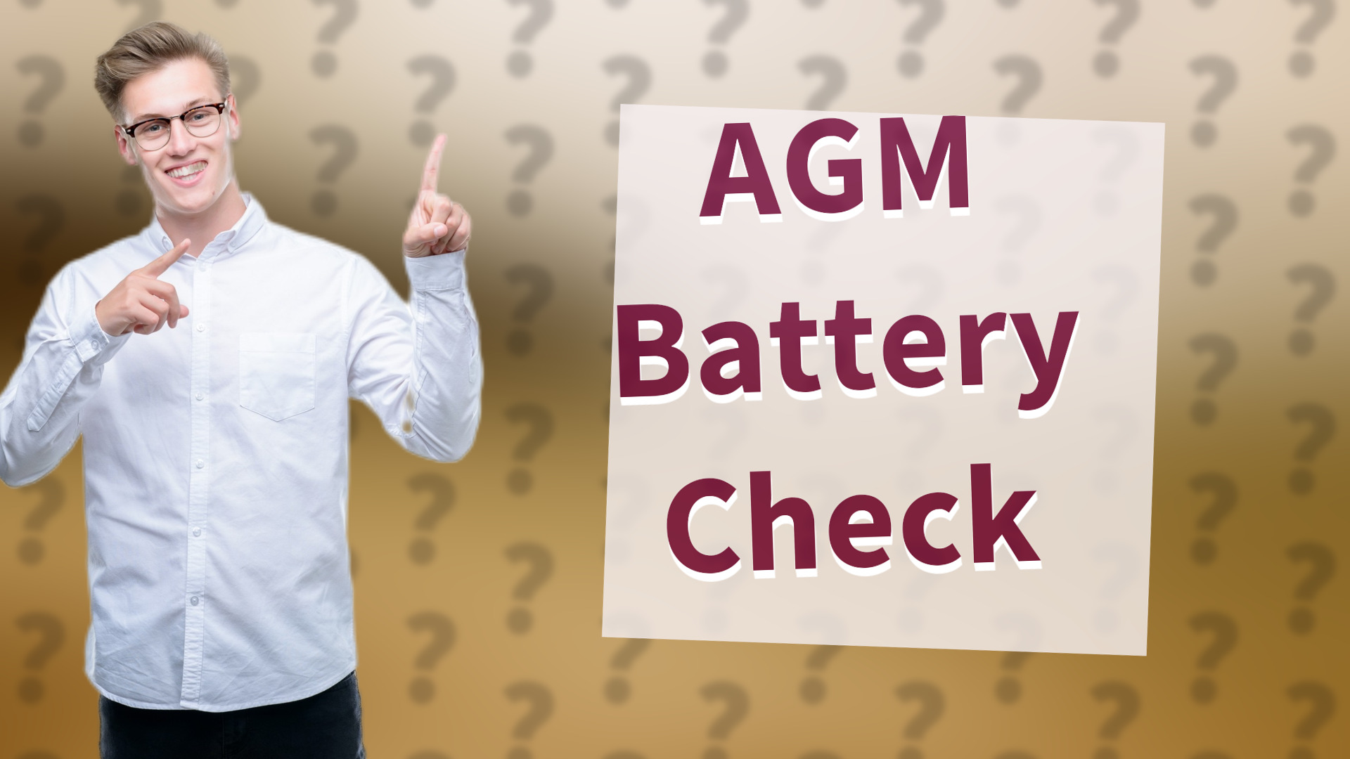 AGM Battery Check
