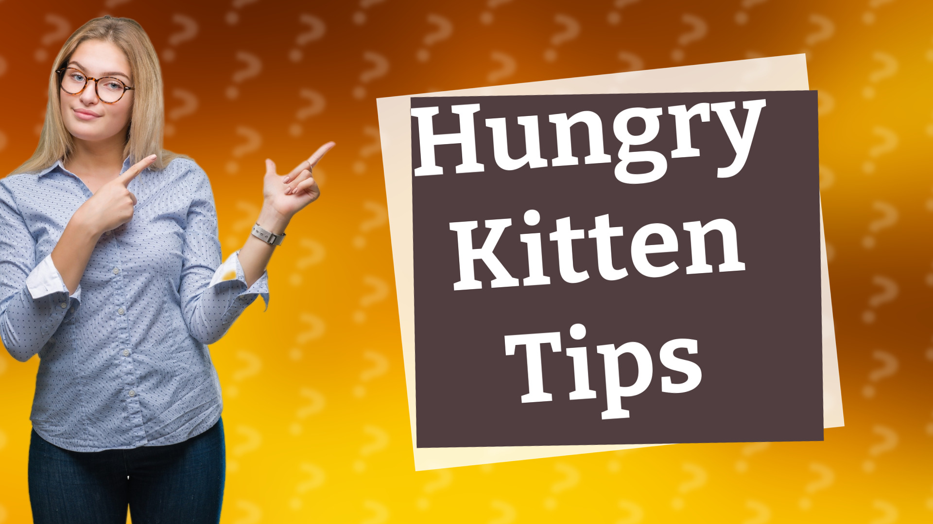 Hungry Kitten Tips