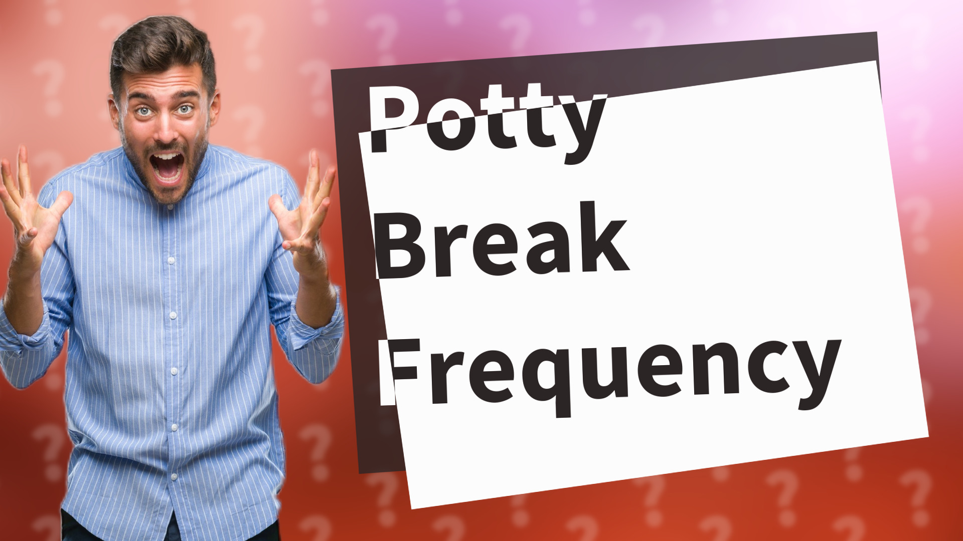 Potty Break Frequency