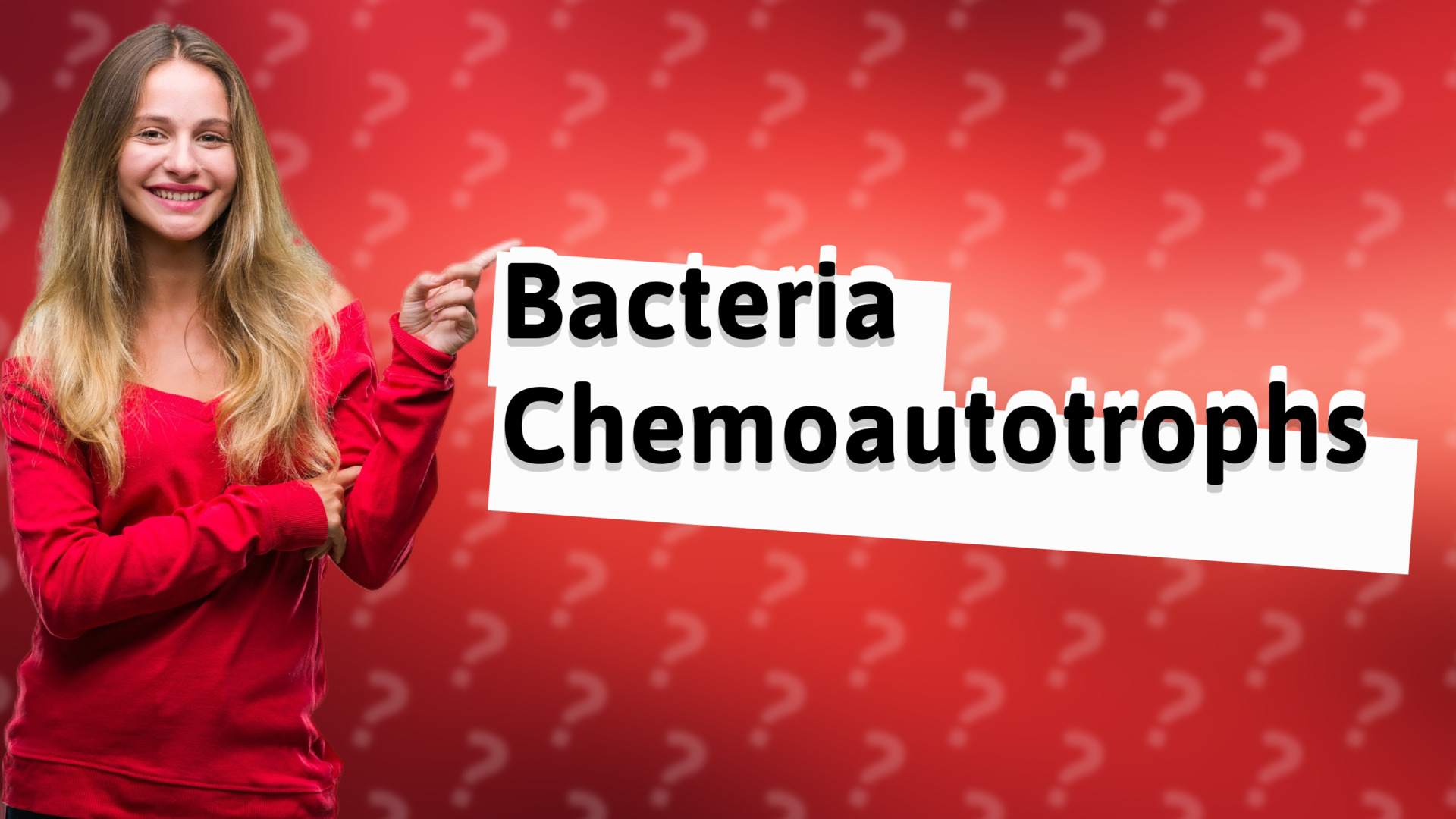 Bacteria Chemoautotrophs