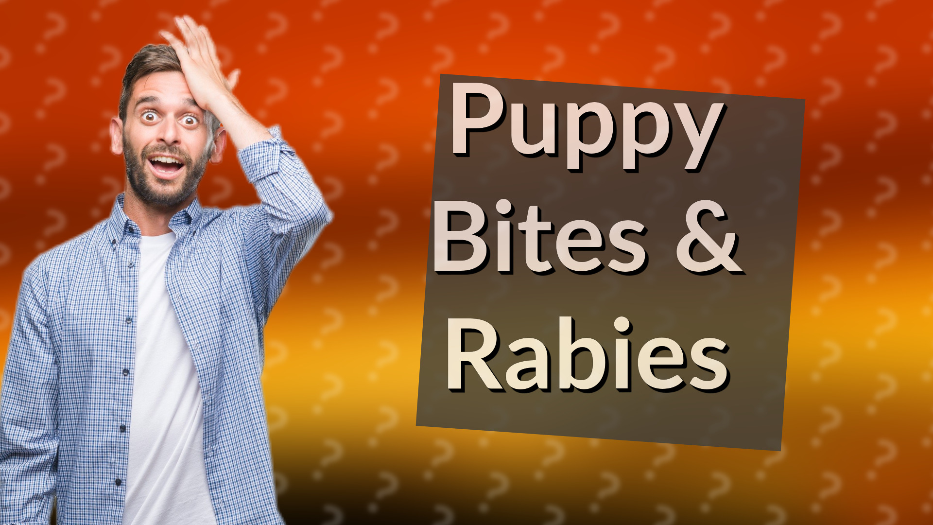 Puppy Bites & Rabies