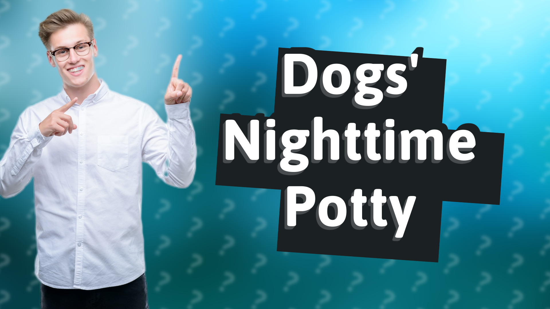 Dogs' Nighttime Potty