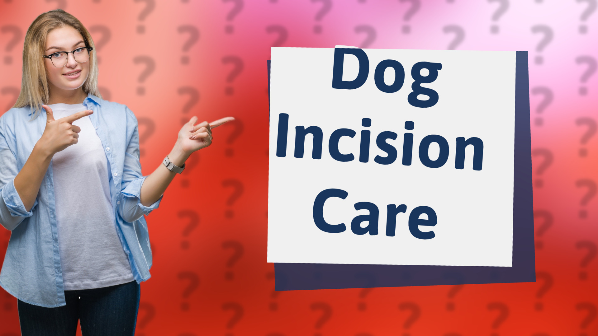 Dog Incision Care