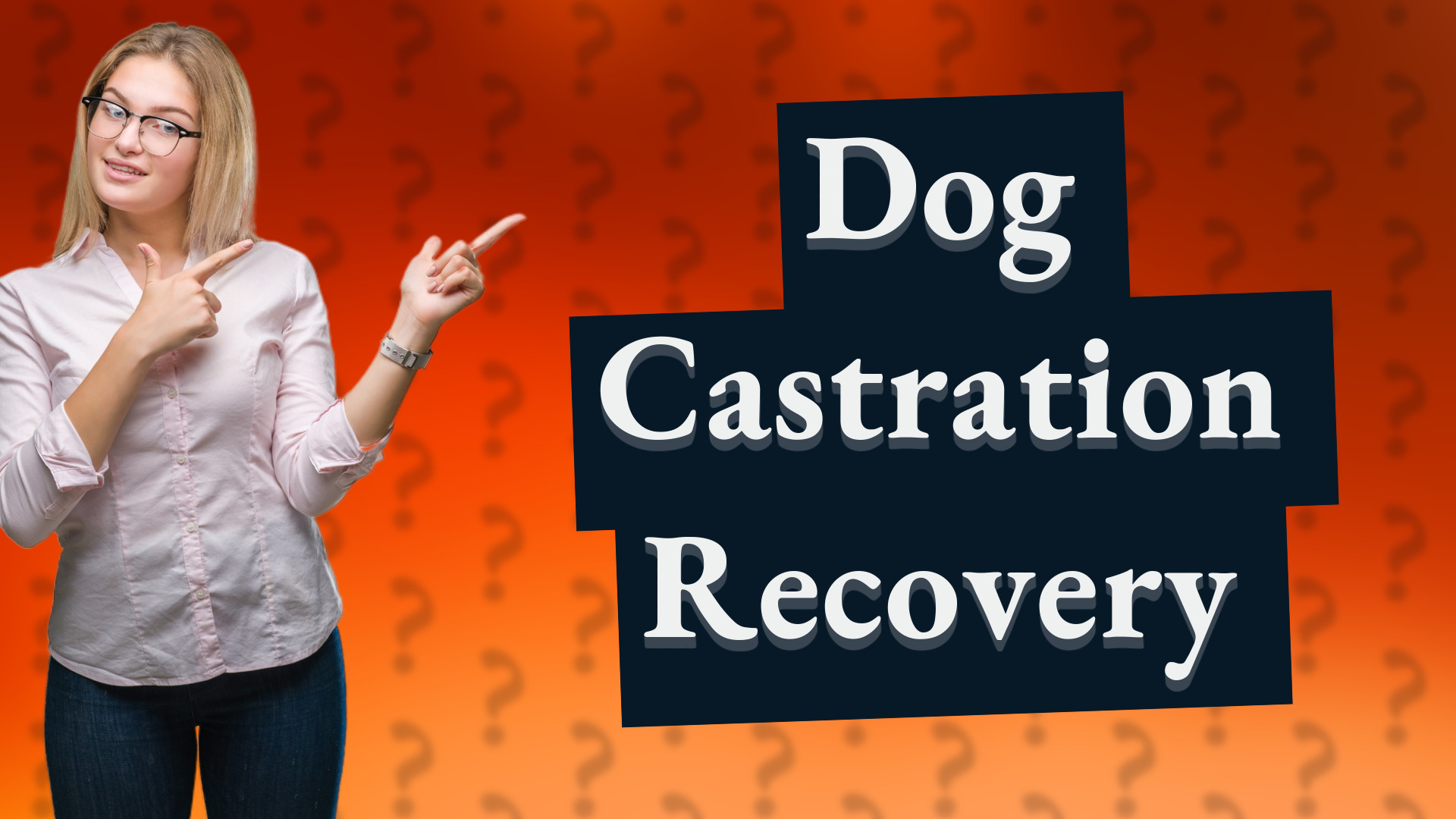 Dog Castration Recovery
