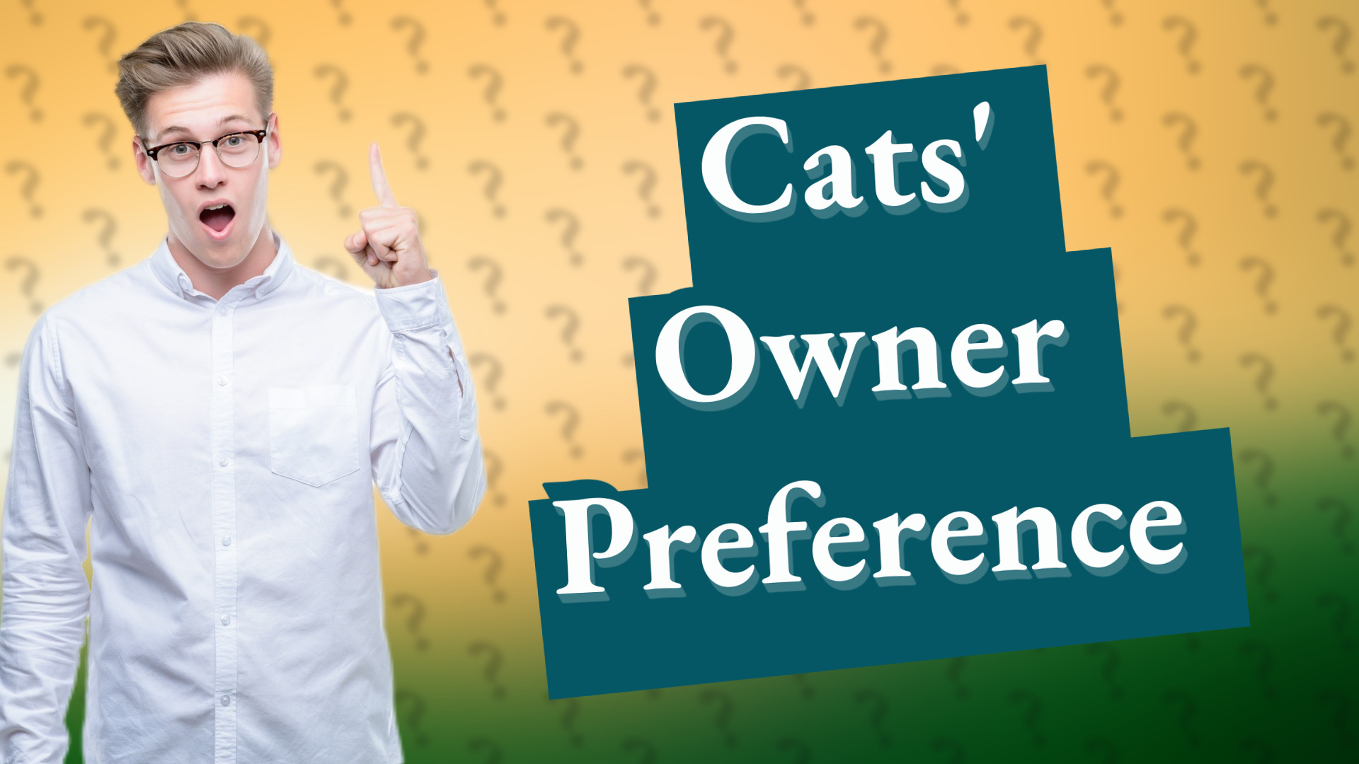 Cats' Owner Preference