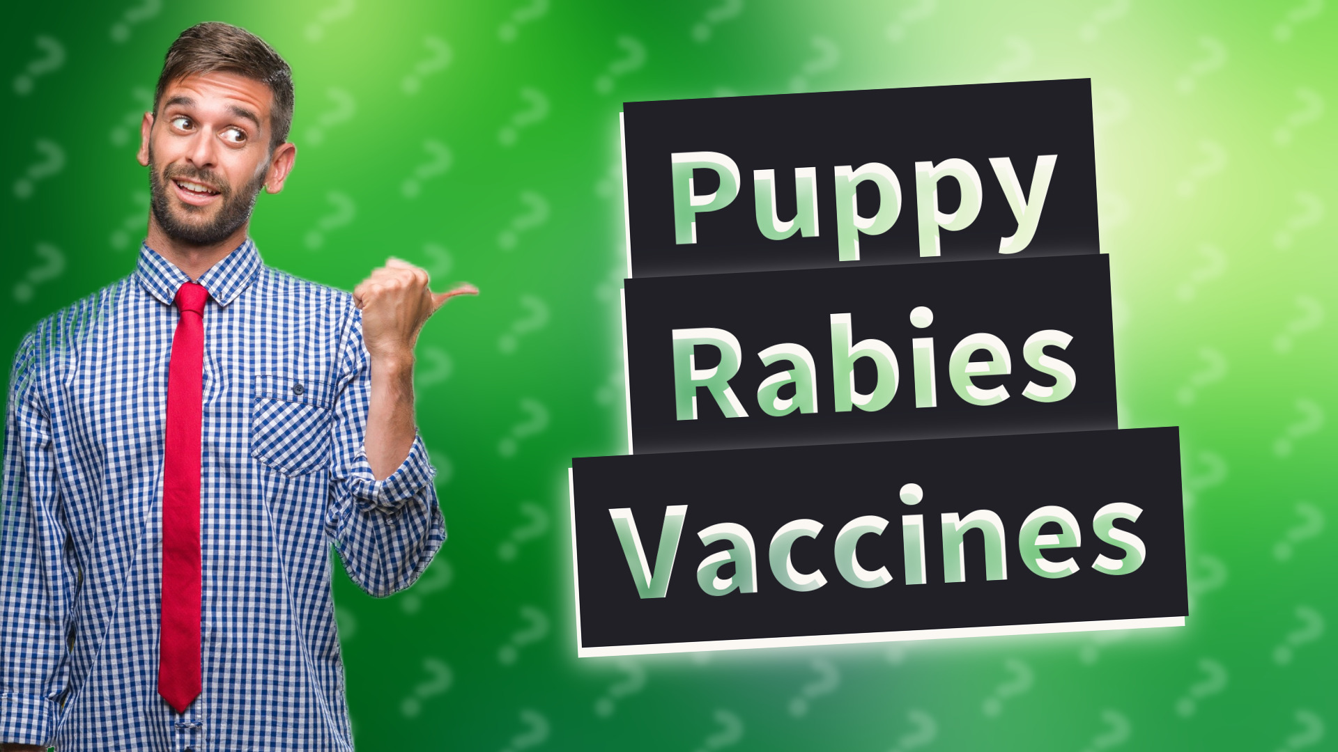 Puppy Rabies Vaccines
