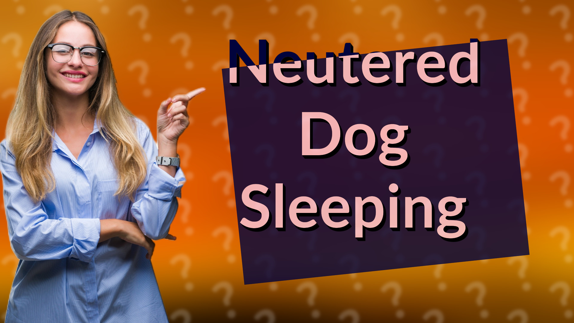 Neutered Dog Sleeping
