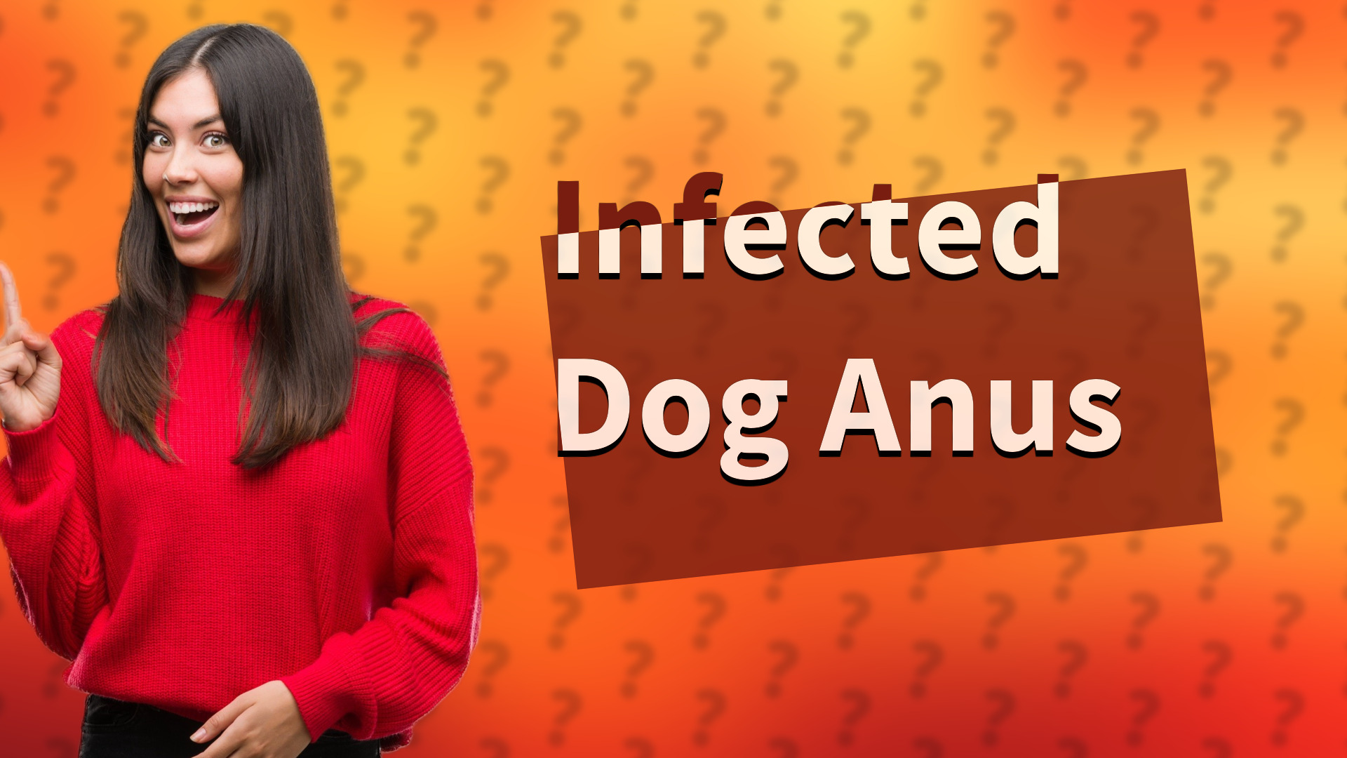 Infected Dog Anus