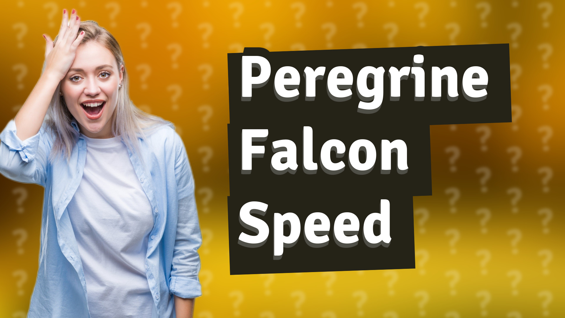 Peregrine Falcon Speed