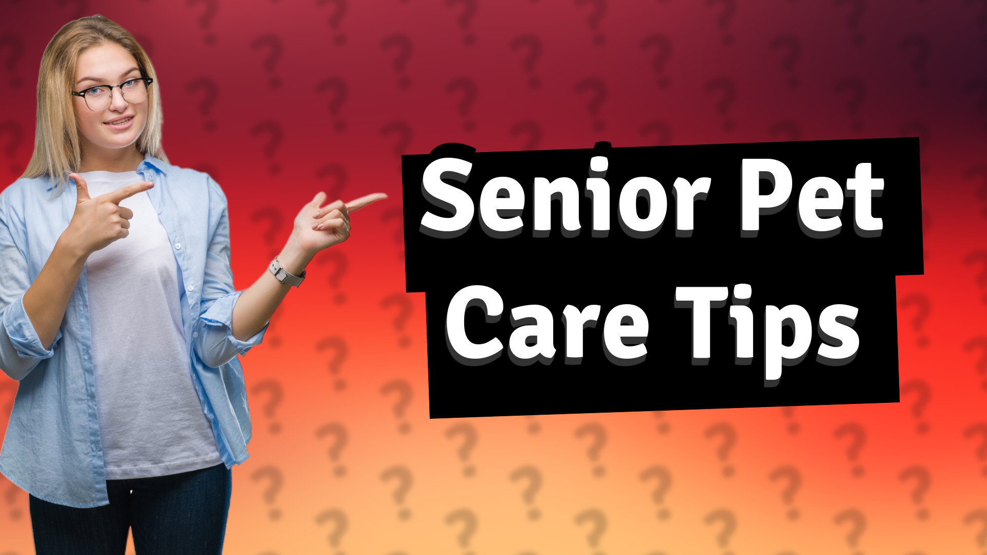 Senior Pet Care Tips