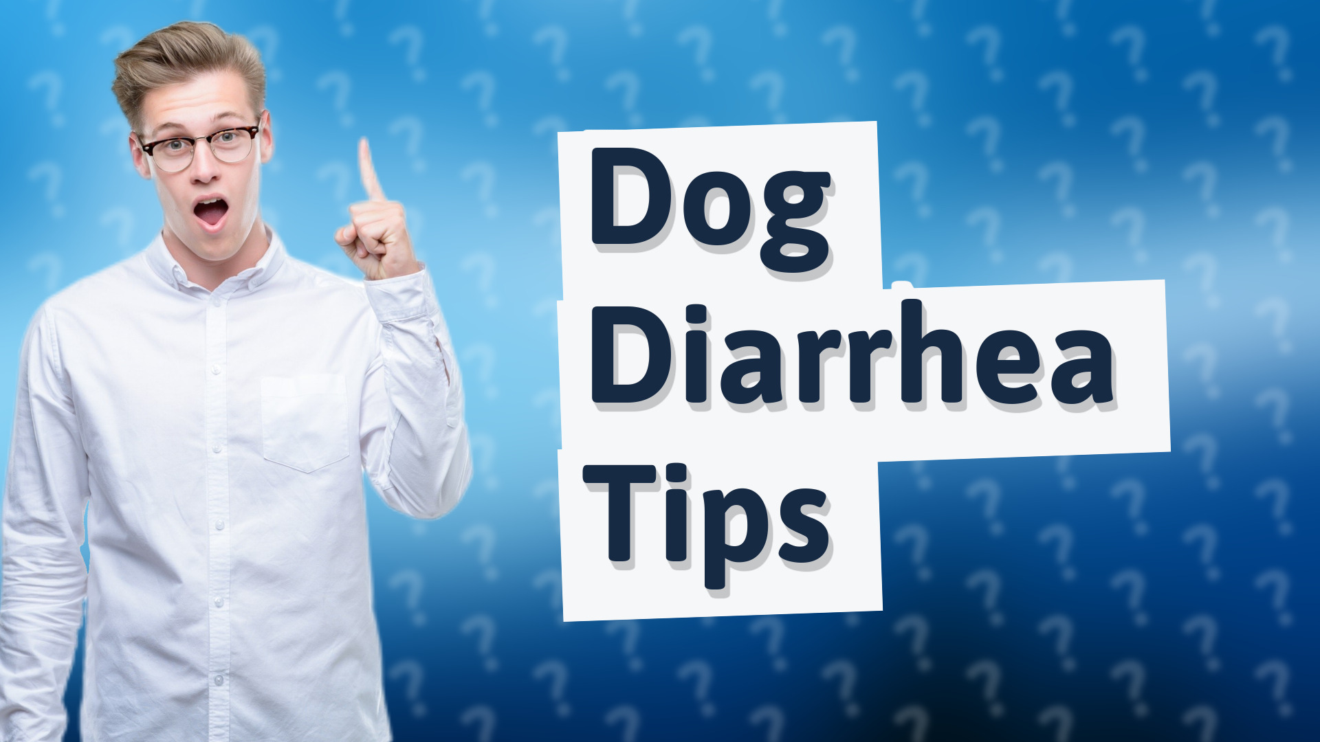 Dog Diarrhea Tips