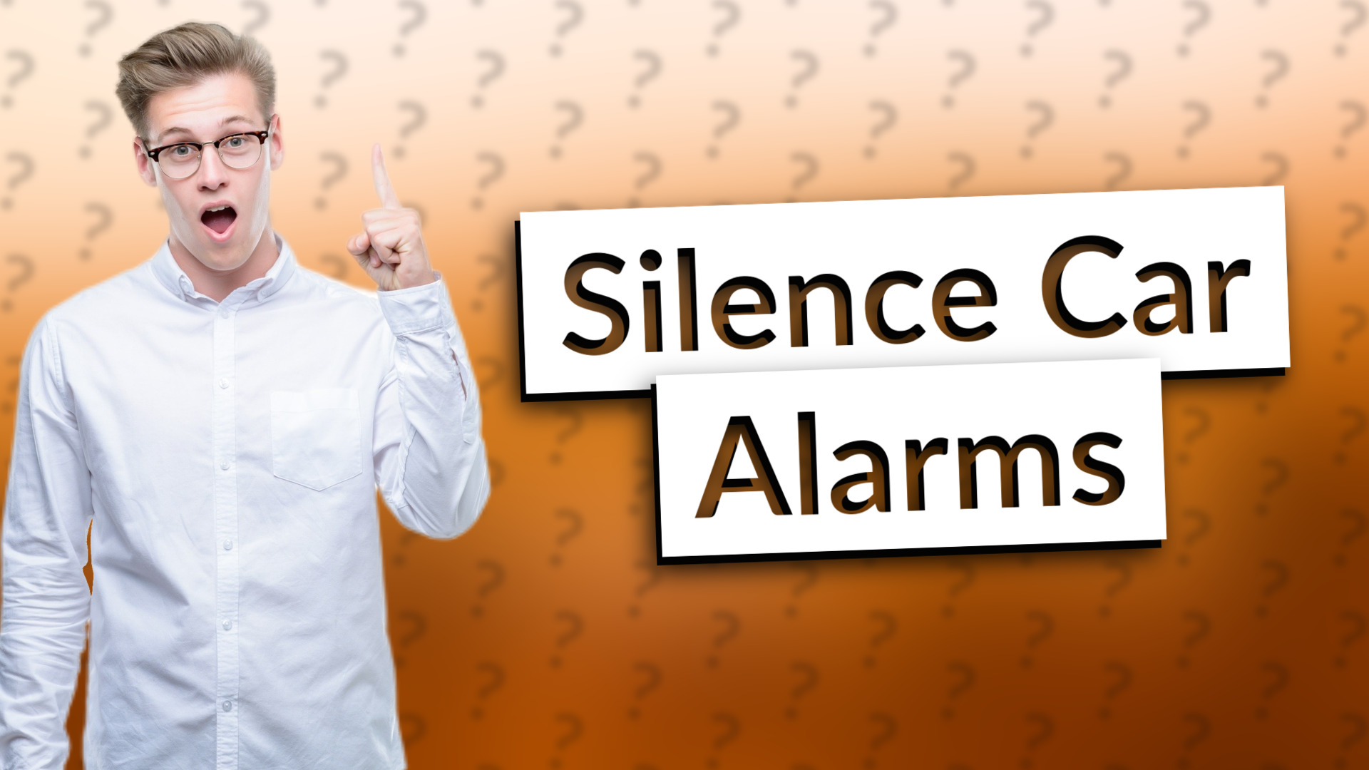 Silence Car Alarms