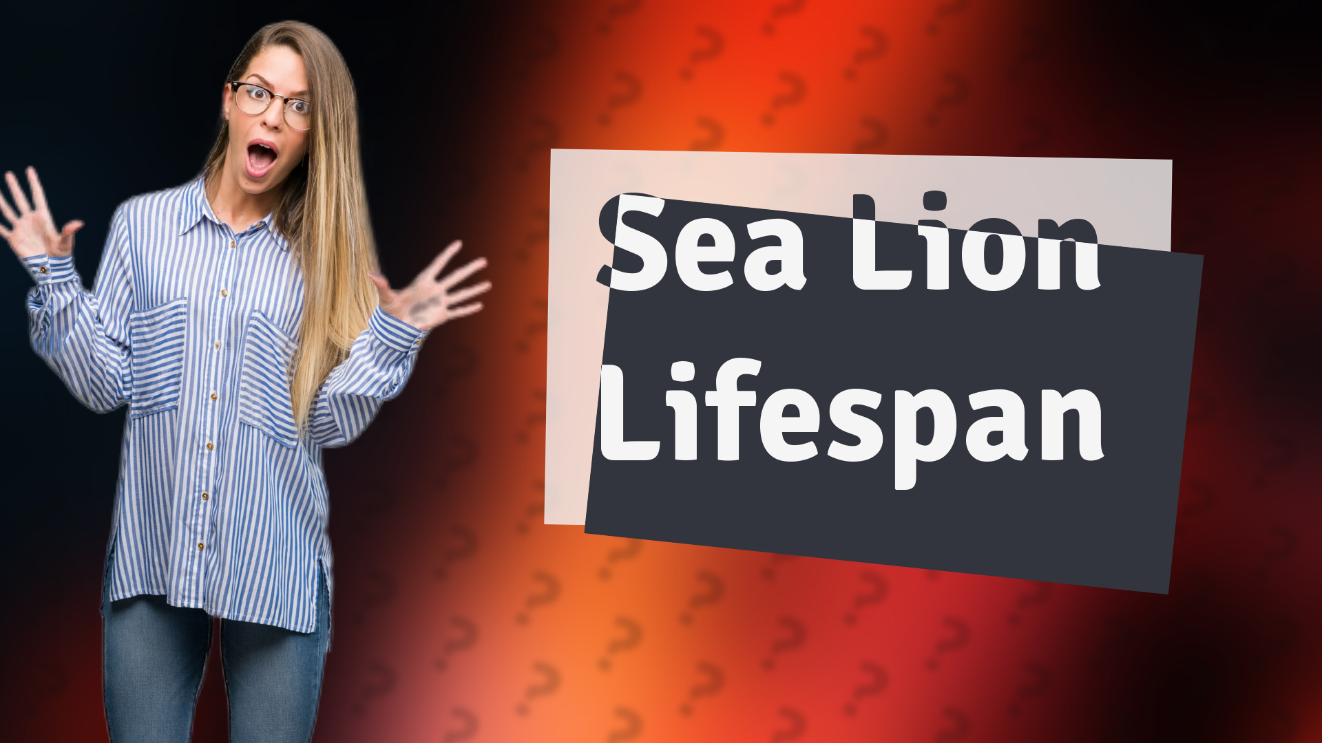 Sea Lion Lifespan