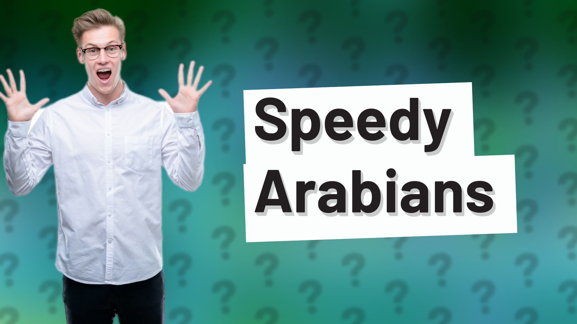 Speedy Arabians