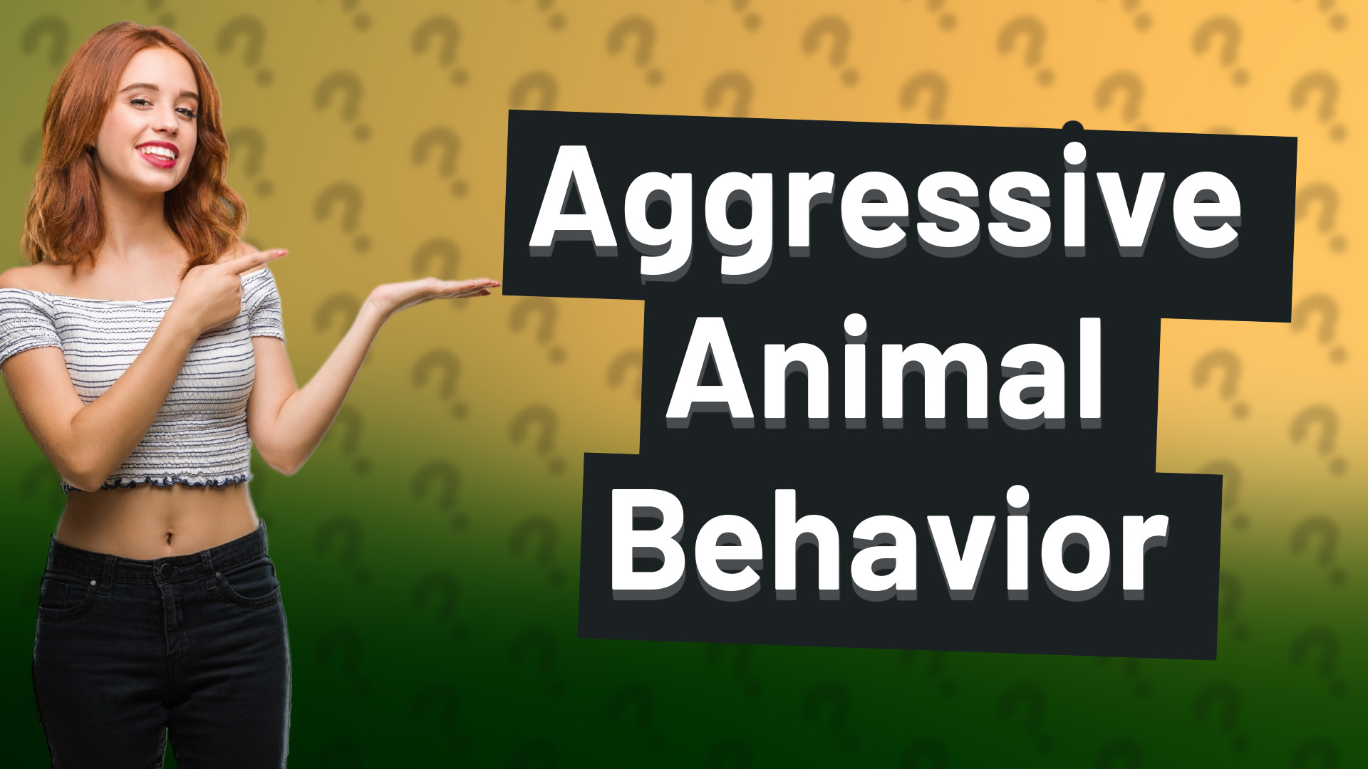 Aggressive Animal Behavior