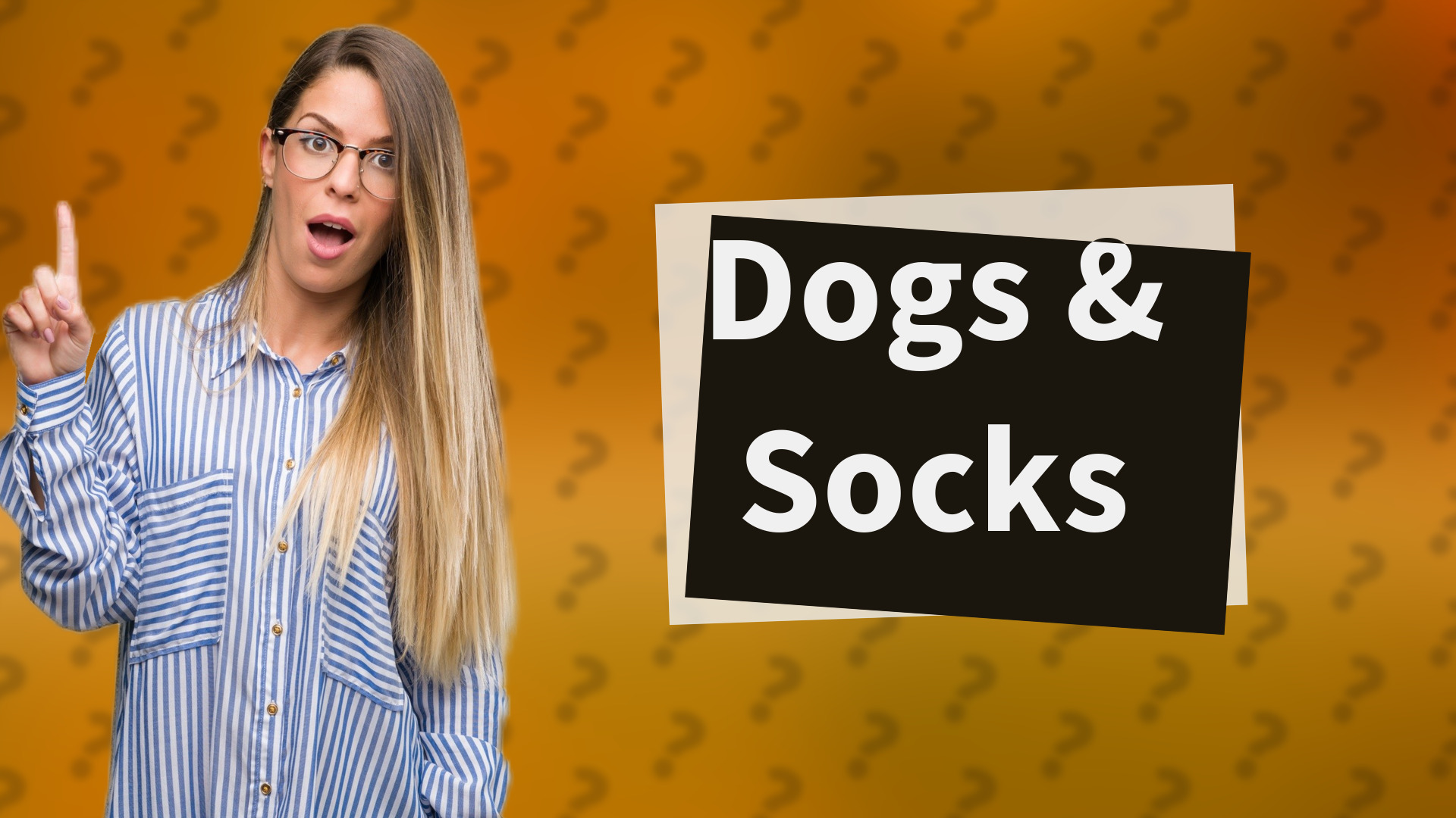Dogs & Socks