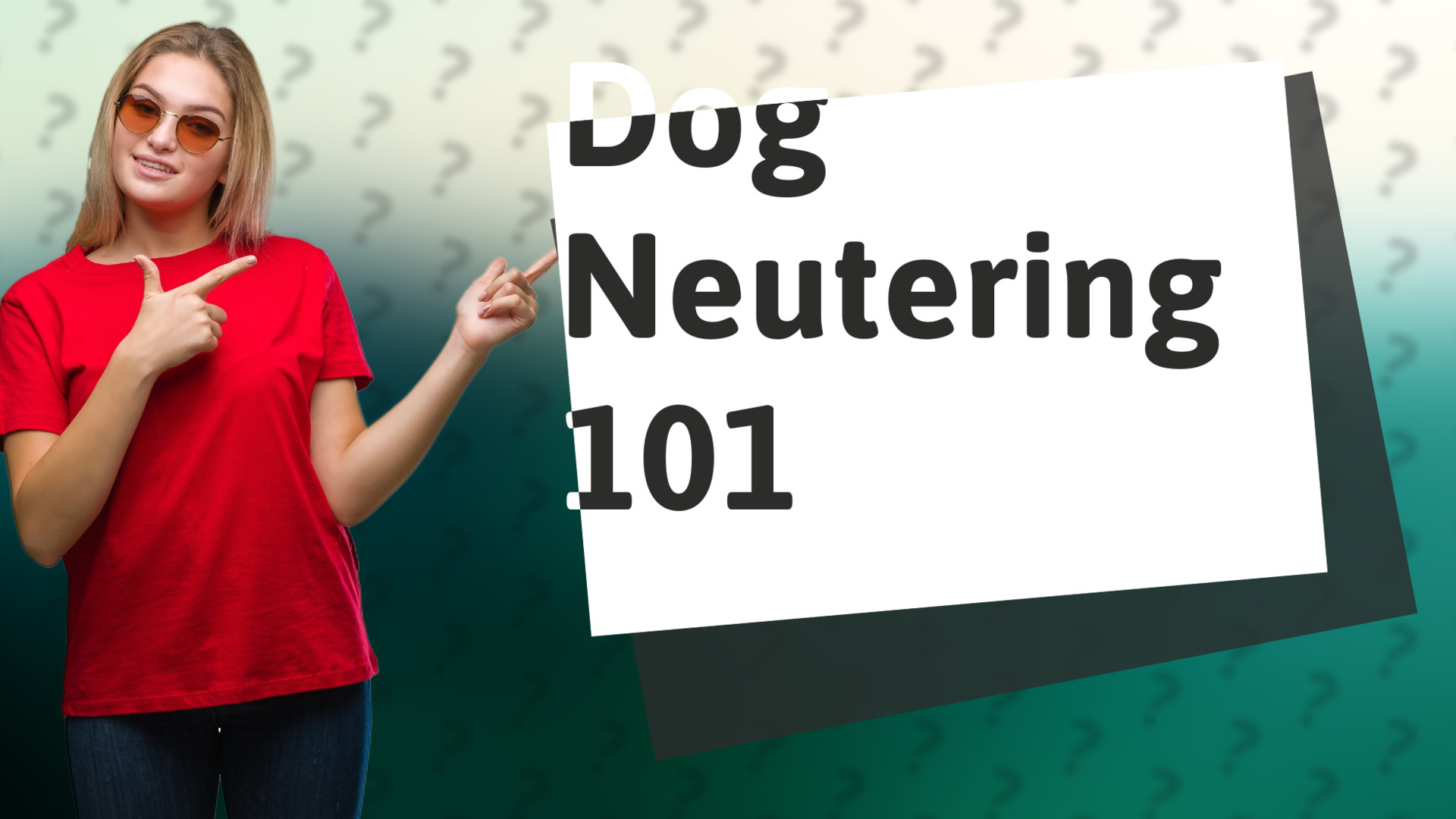 Dog Neutering 101