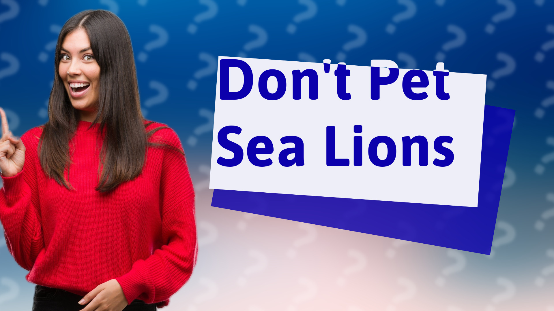 Don't Pet Sea Lions
