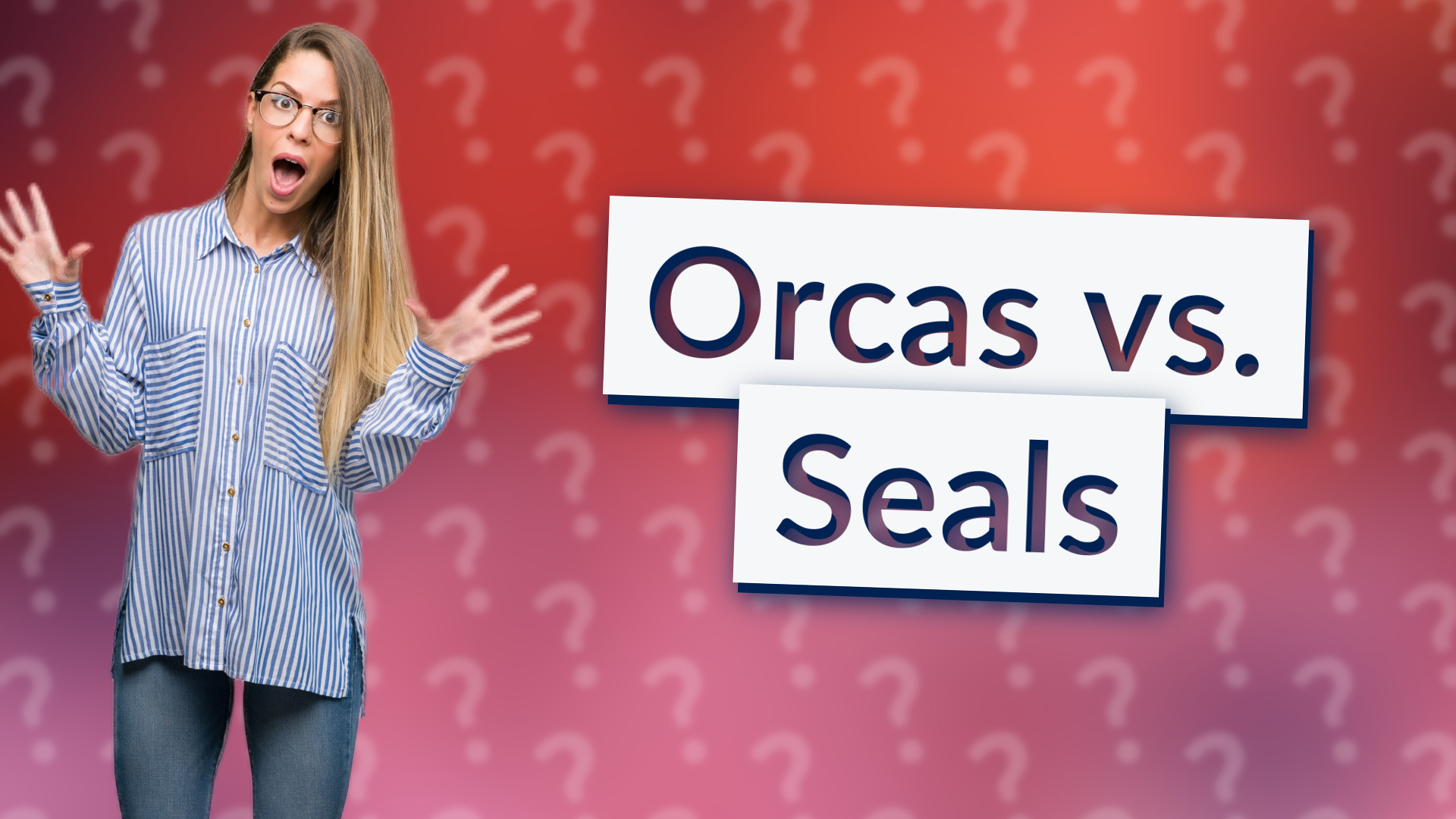 Orcas vs. Seals