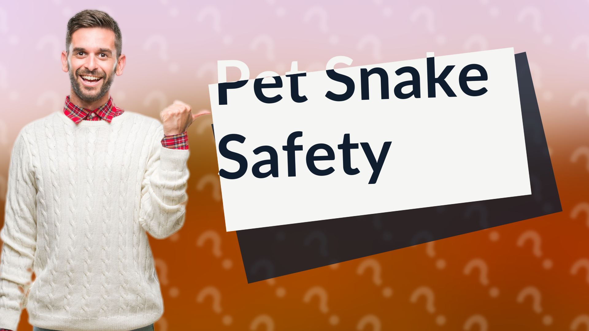 Pet Snake Safety