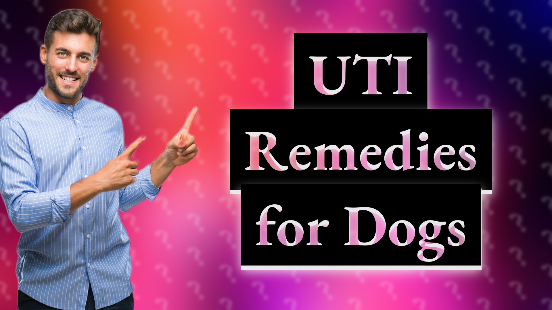 UTI Remedies for Dogs