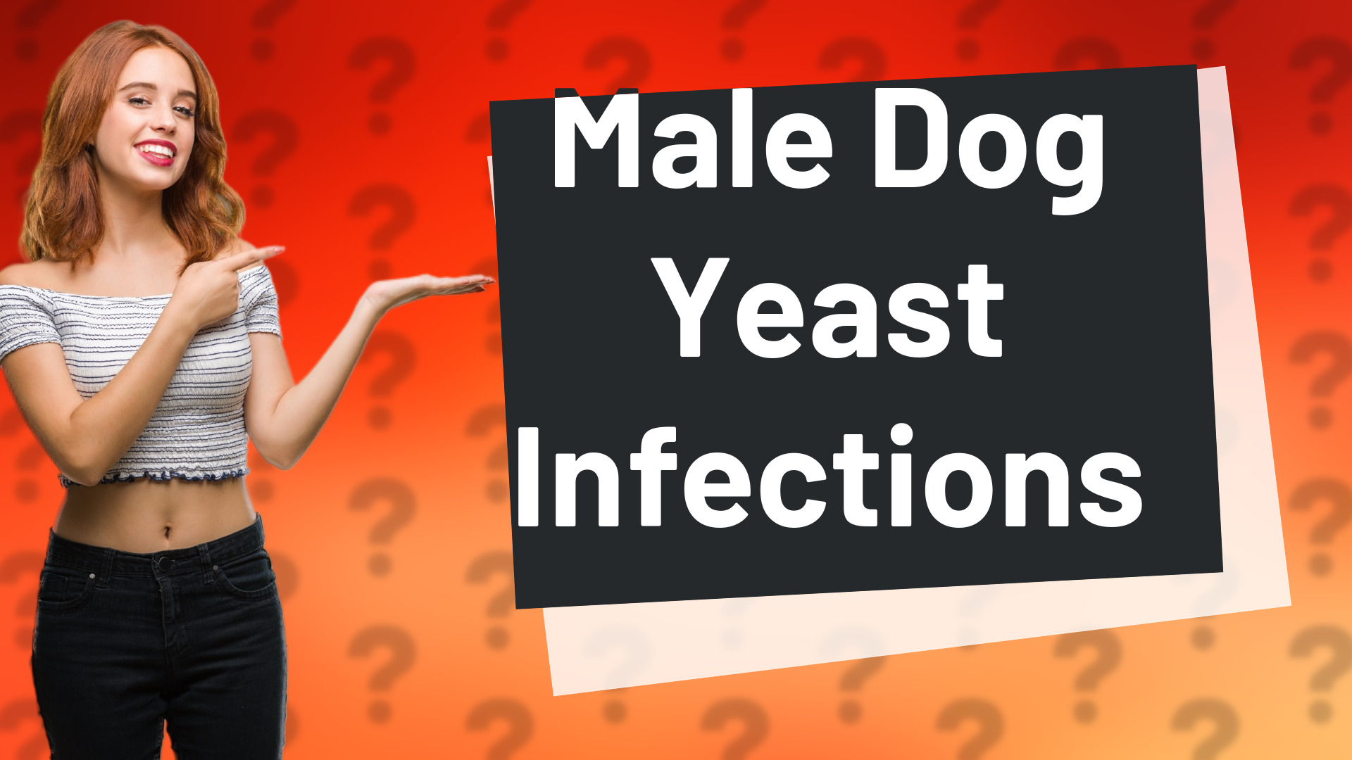 Male Dog Yeast Infections