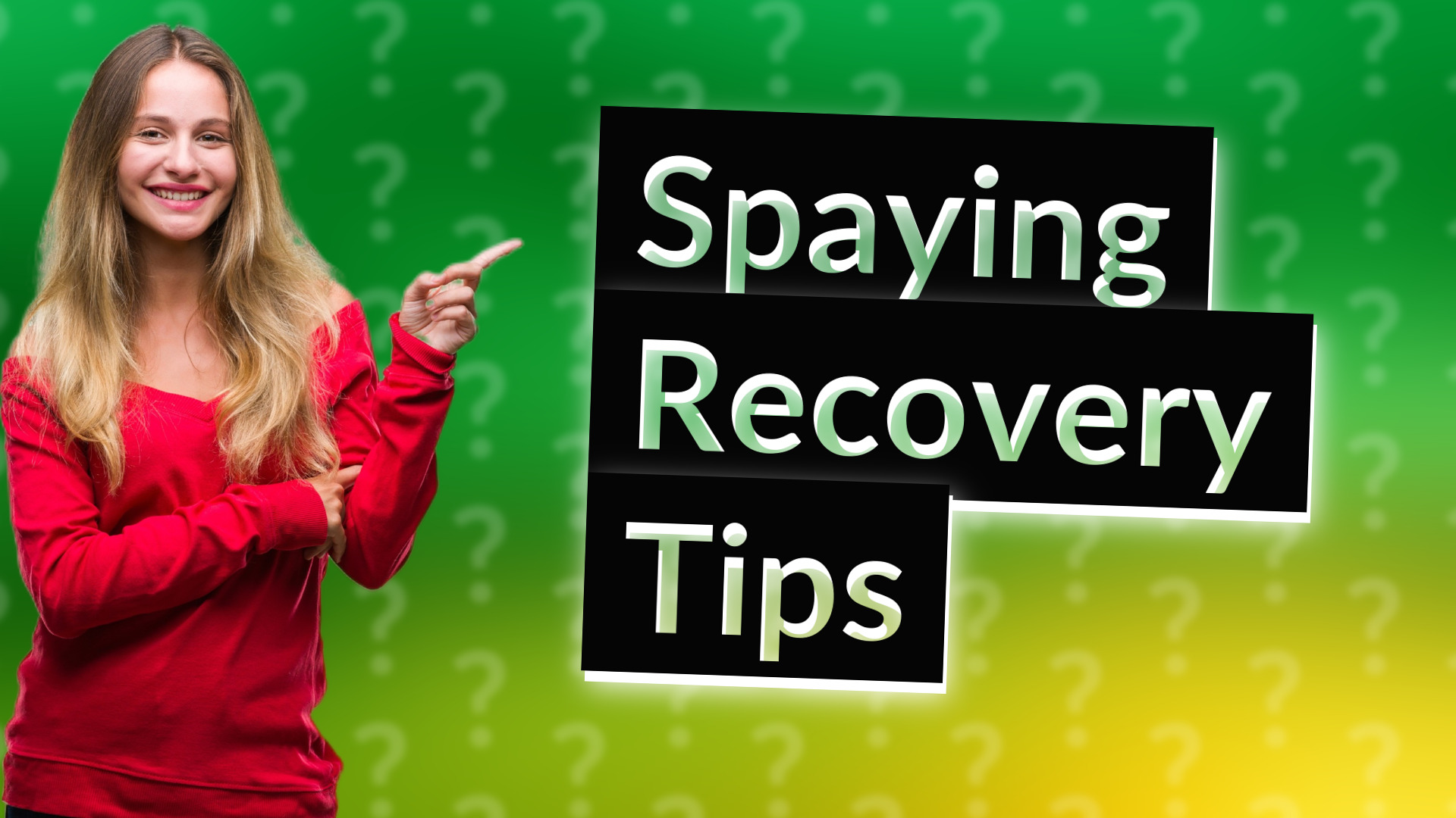 Spaying Recovery Tips