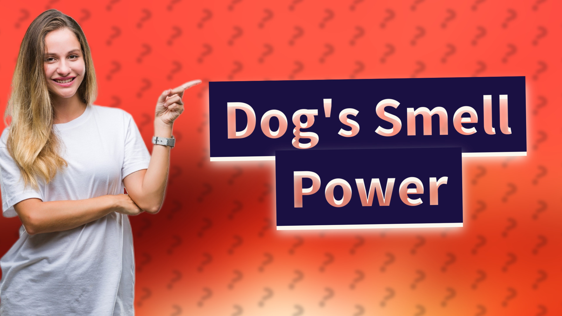 Dog's Smell Power