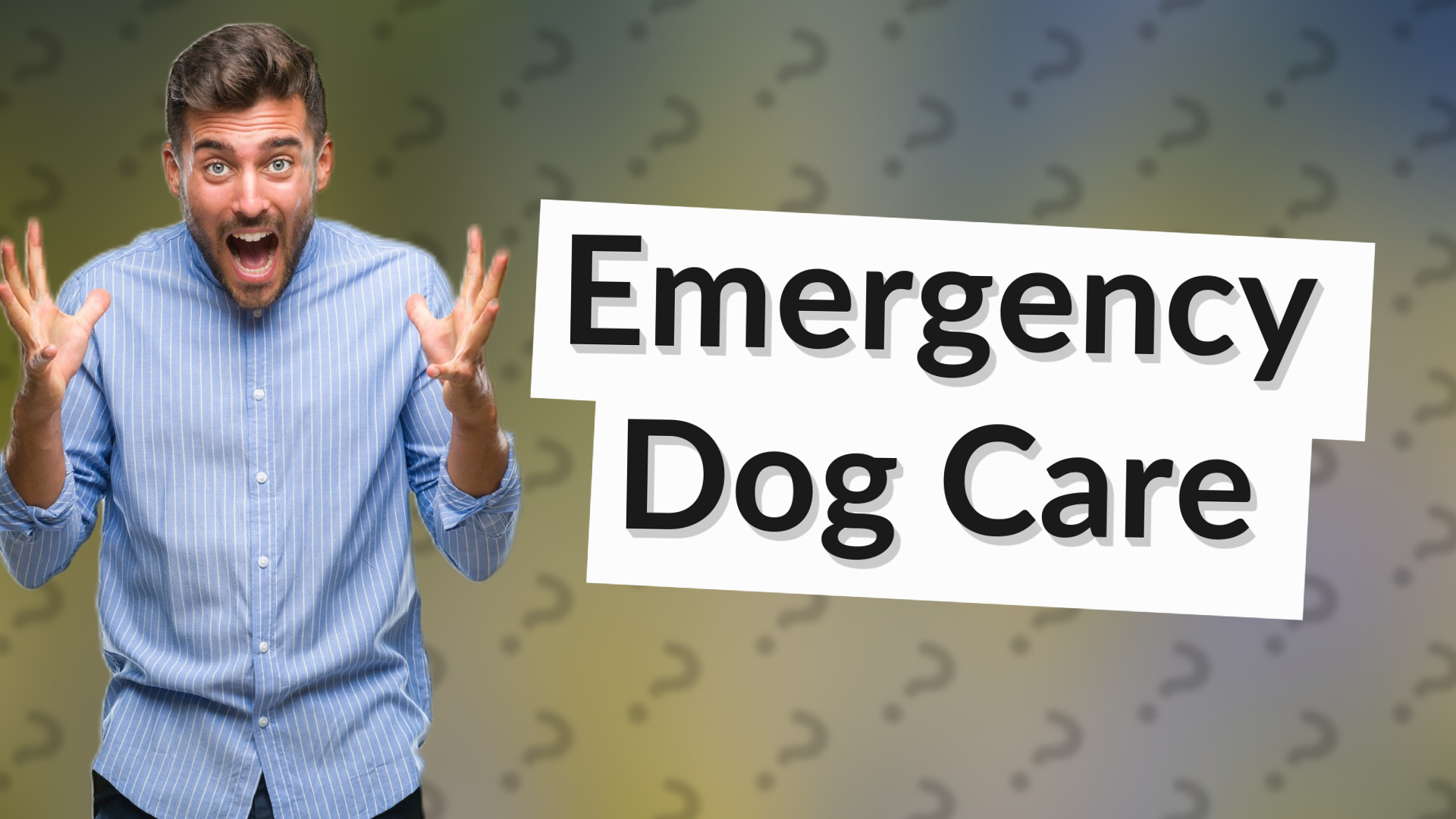 Emergency Dog Care