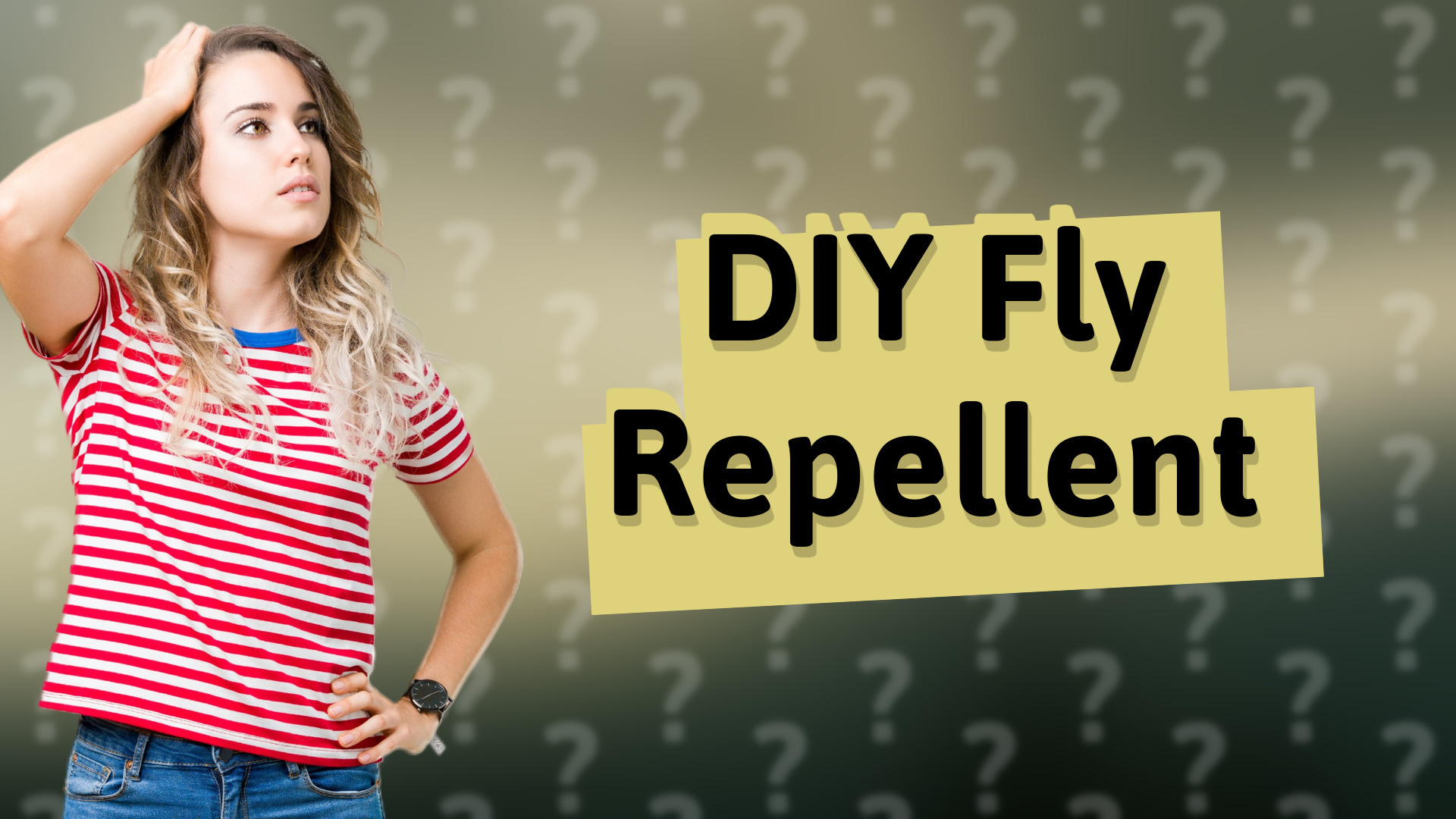DIY Fly Repellent