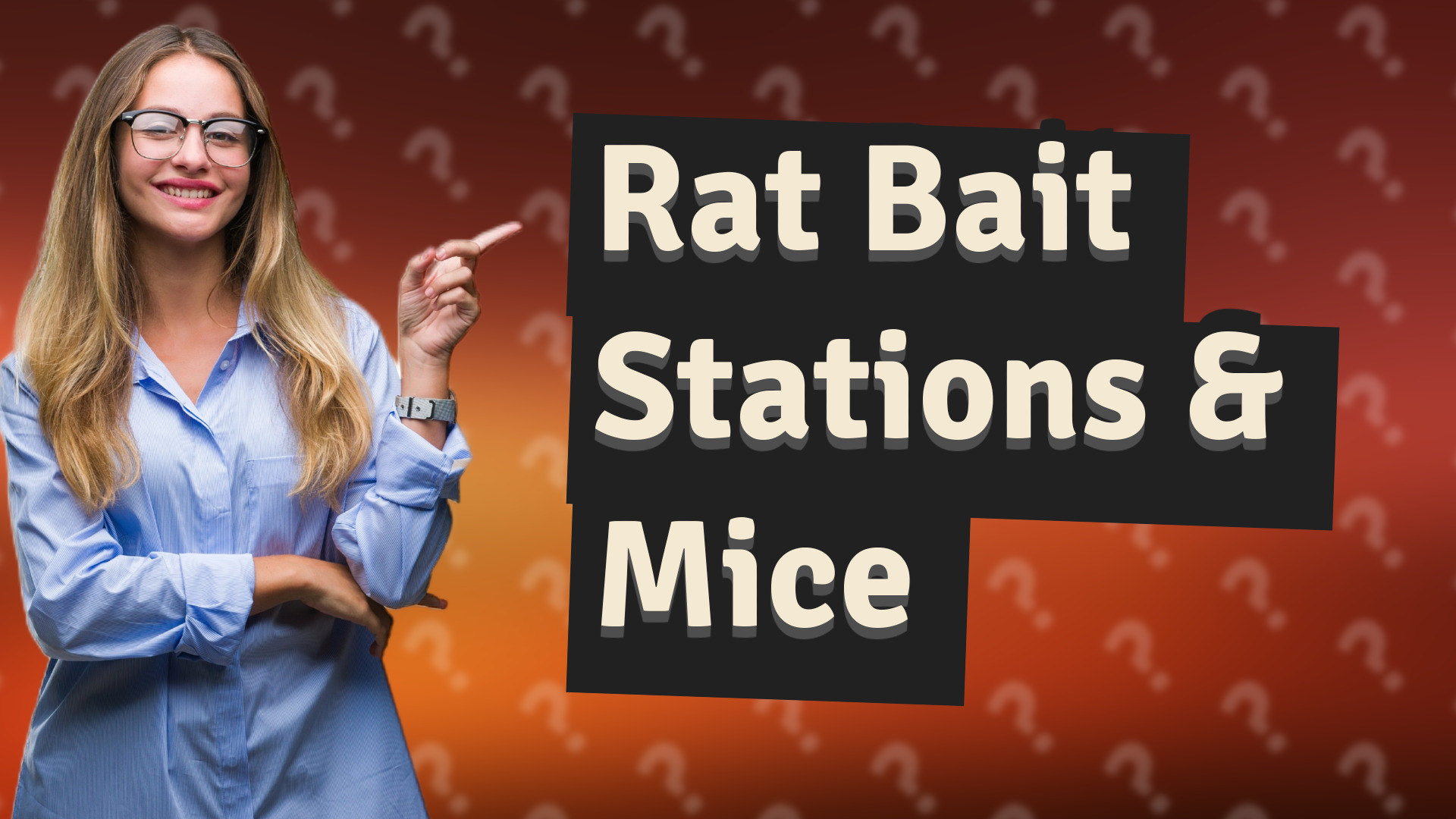 Rat Bait Stations & Mice