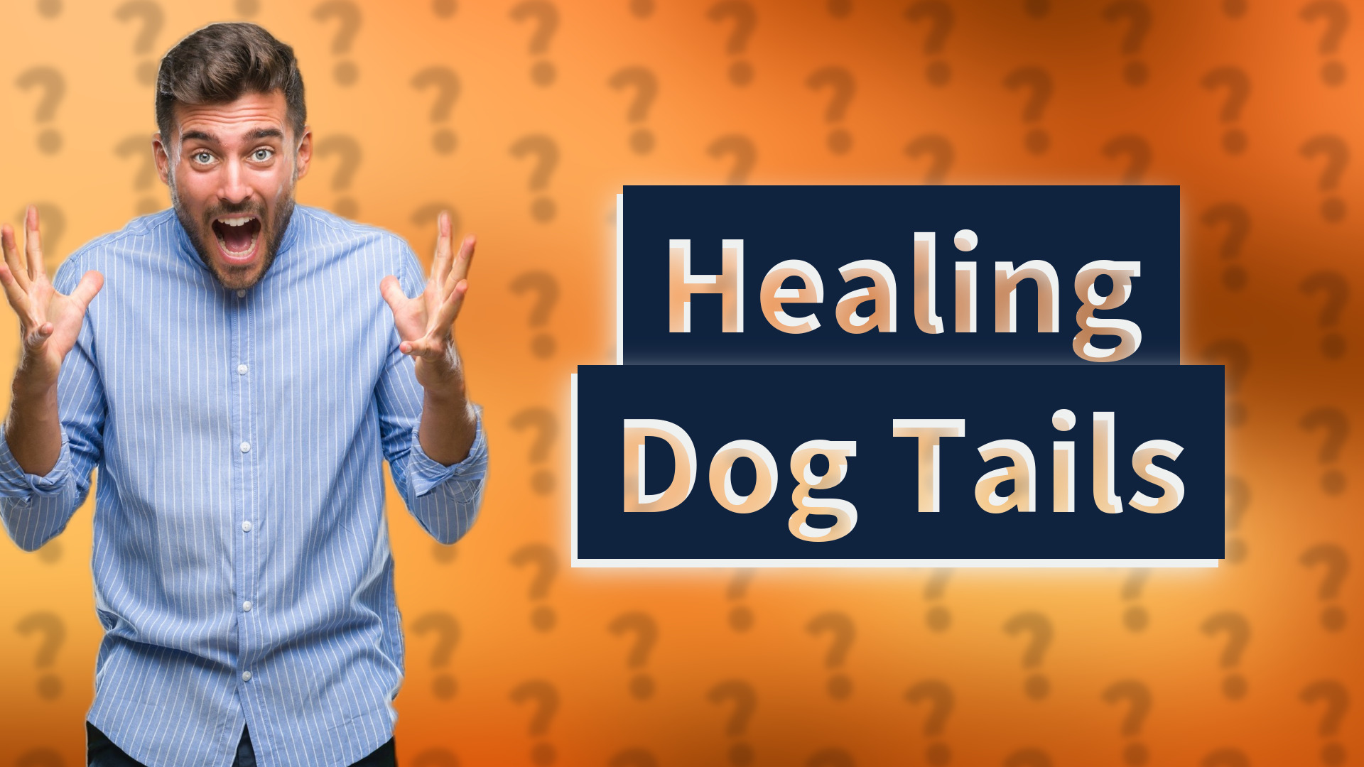 Healing Dog Tails