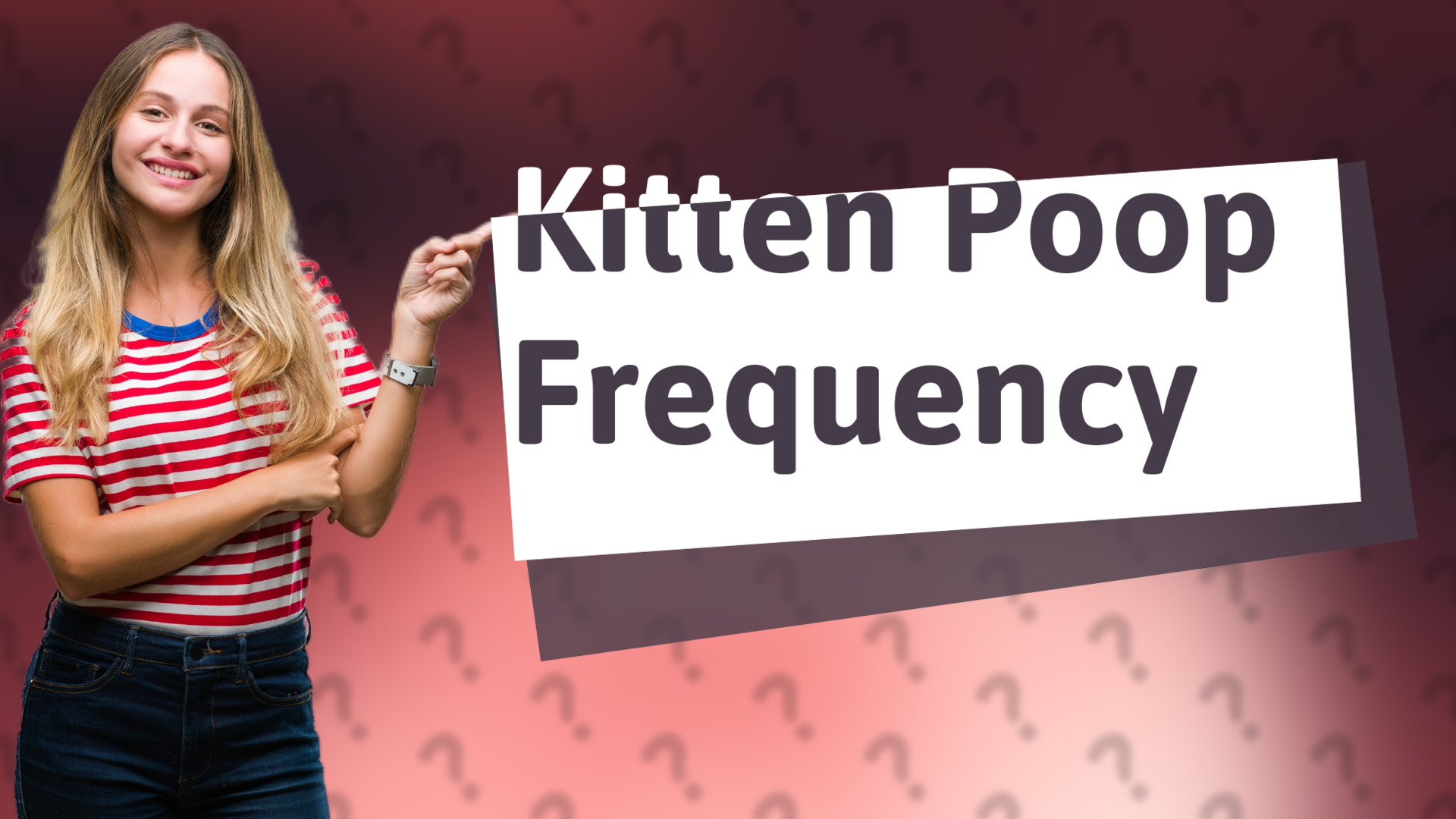 Kitten Poop Frequency