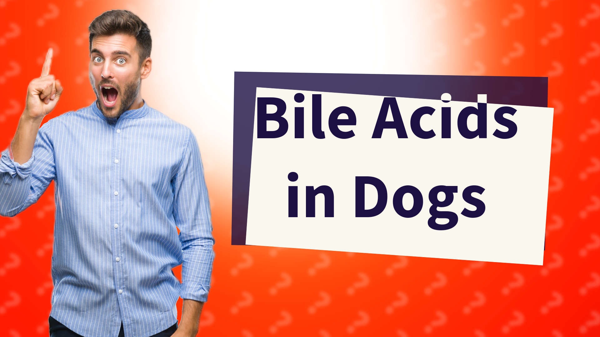 Bile Acids in Dogs