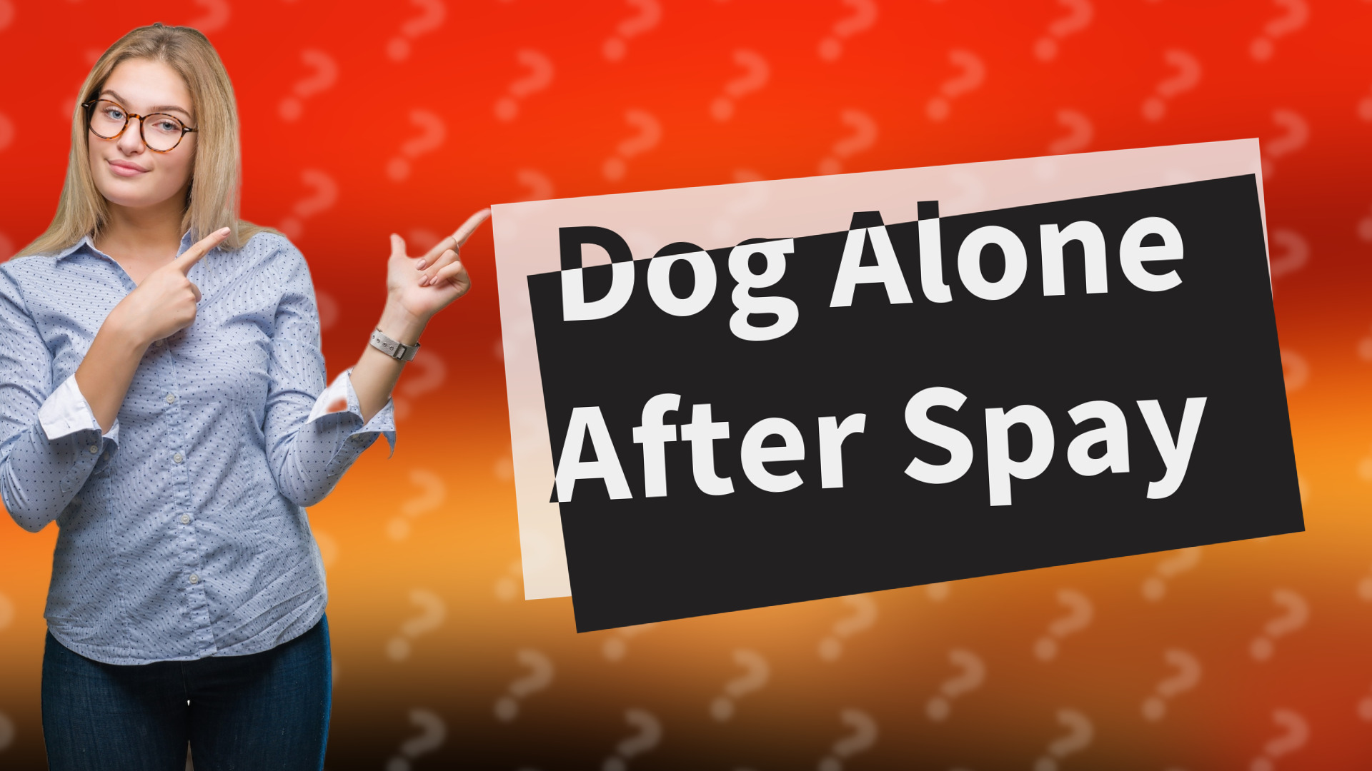 Dog Alone After Spay