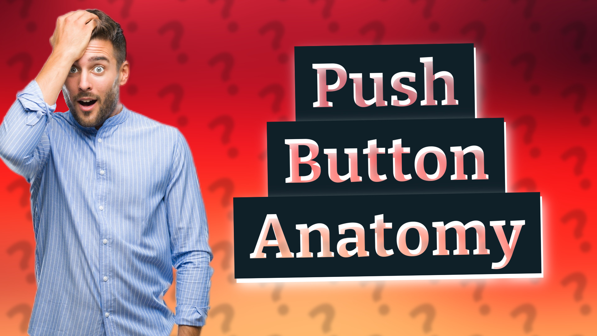Push Button Anatomy